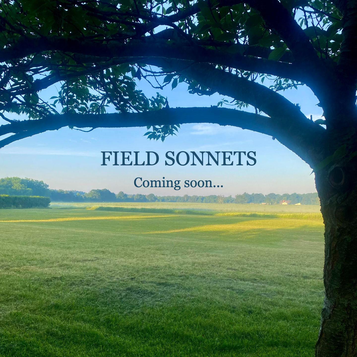 FIELD SONNETS coming soon…