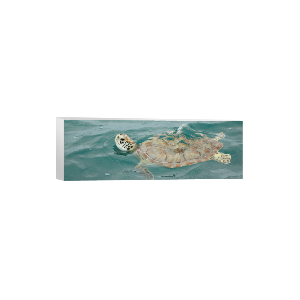 ptq_7_2_0_660_6000_2000_0_false_ffffff_0_0_.png