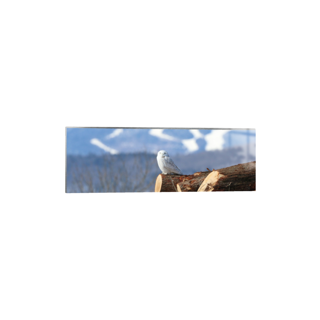 ptq_13_2_0_920_6000_2000_0_false_ffffff_0_0_.png
