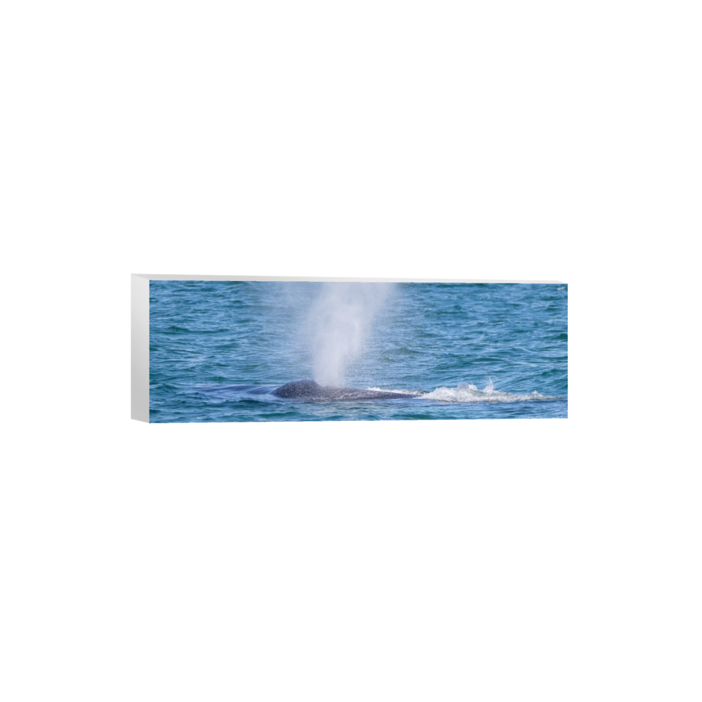 ptq_7_2_0_1212_4607_1535_0_false_ffffff_0_0_.png