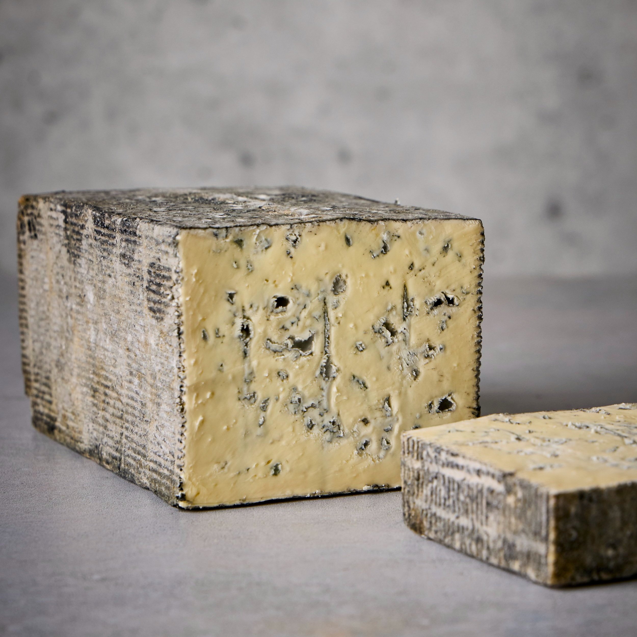 CHEESE+CHEESE+11-6-24_6941.jpg