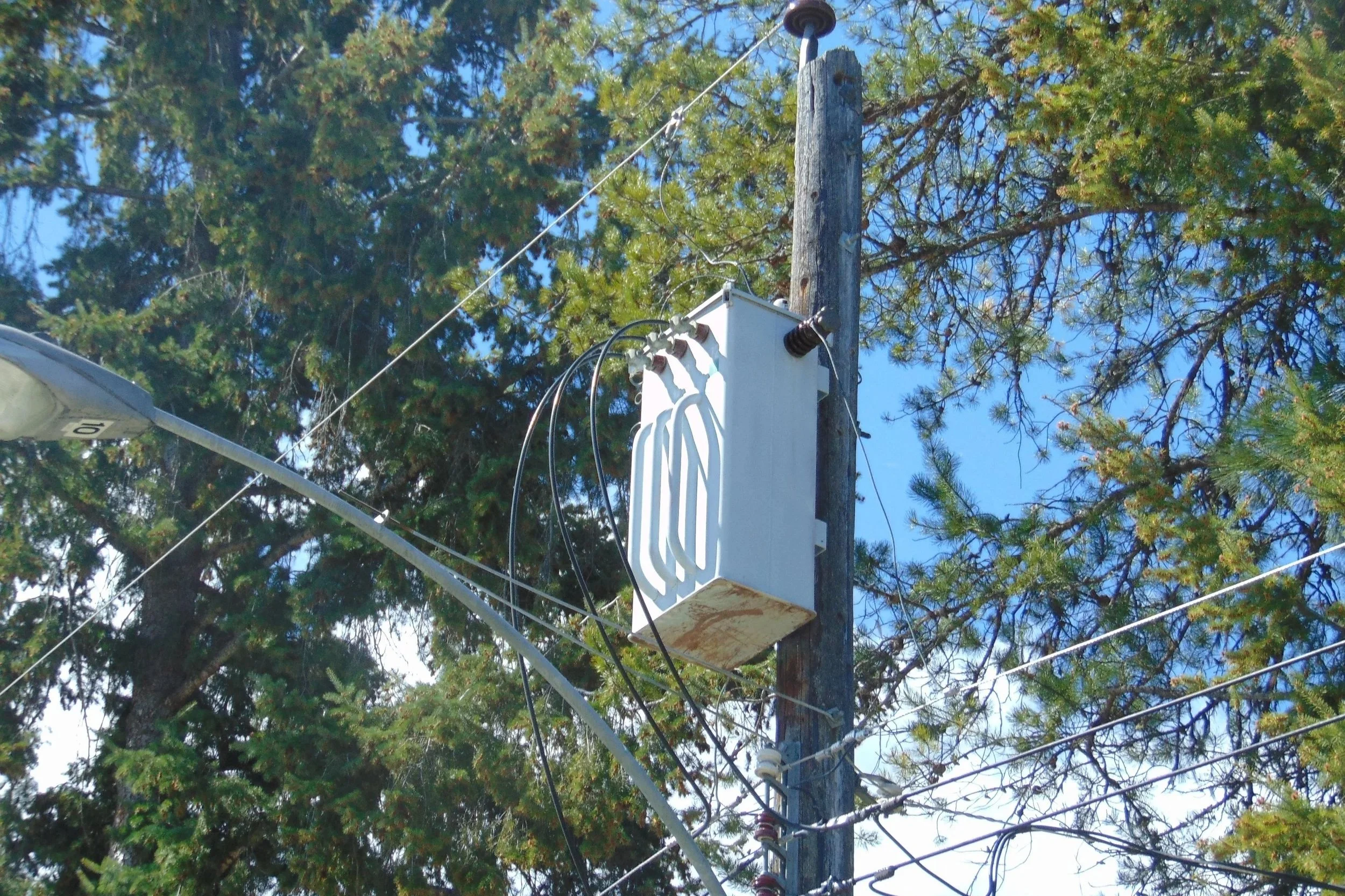 OH &amp; UG Distribution Maintenance and PCB Transformer Sampling — Province of BC