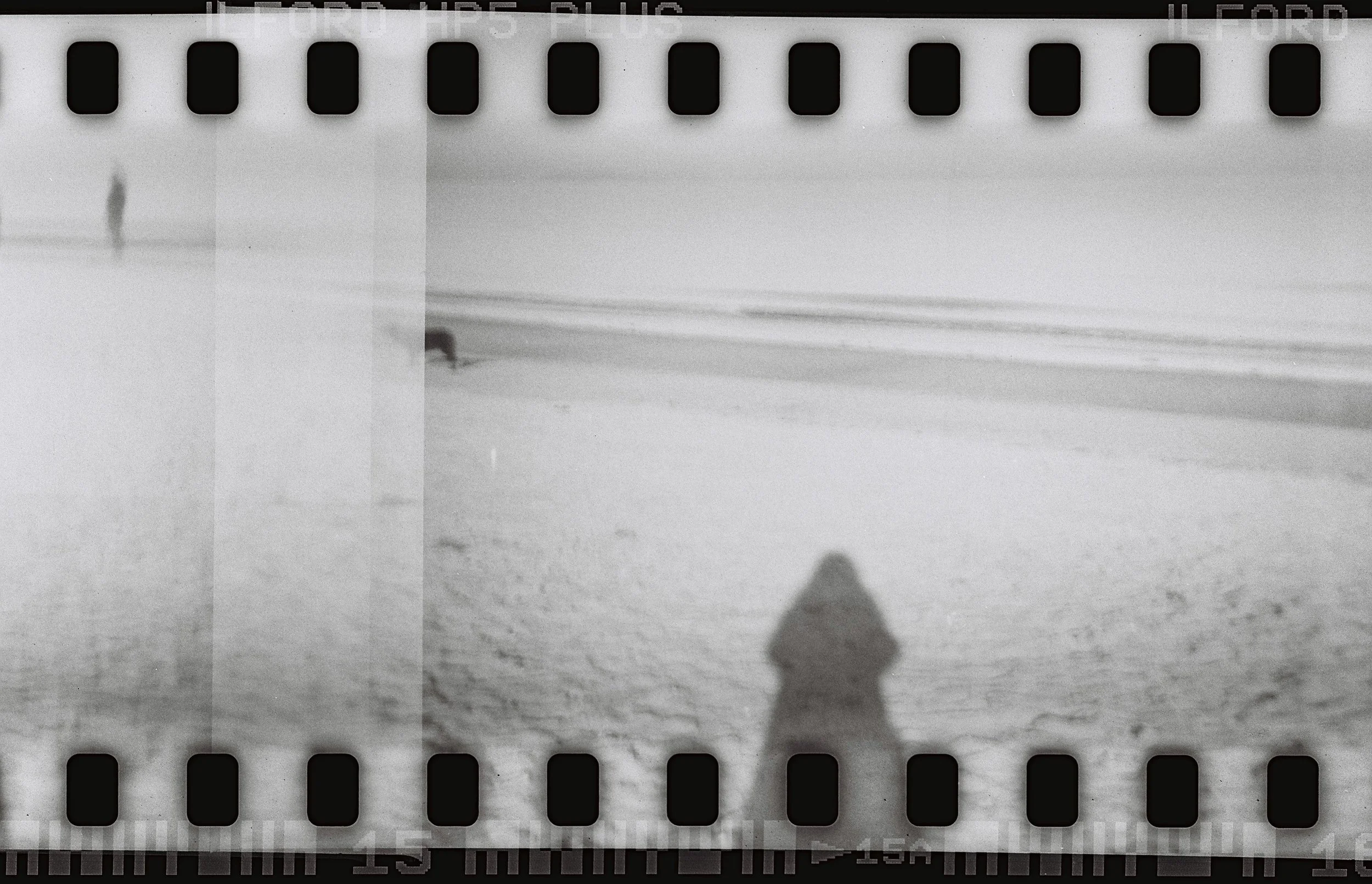 Edinburgh Visual Artist