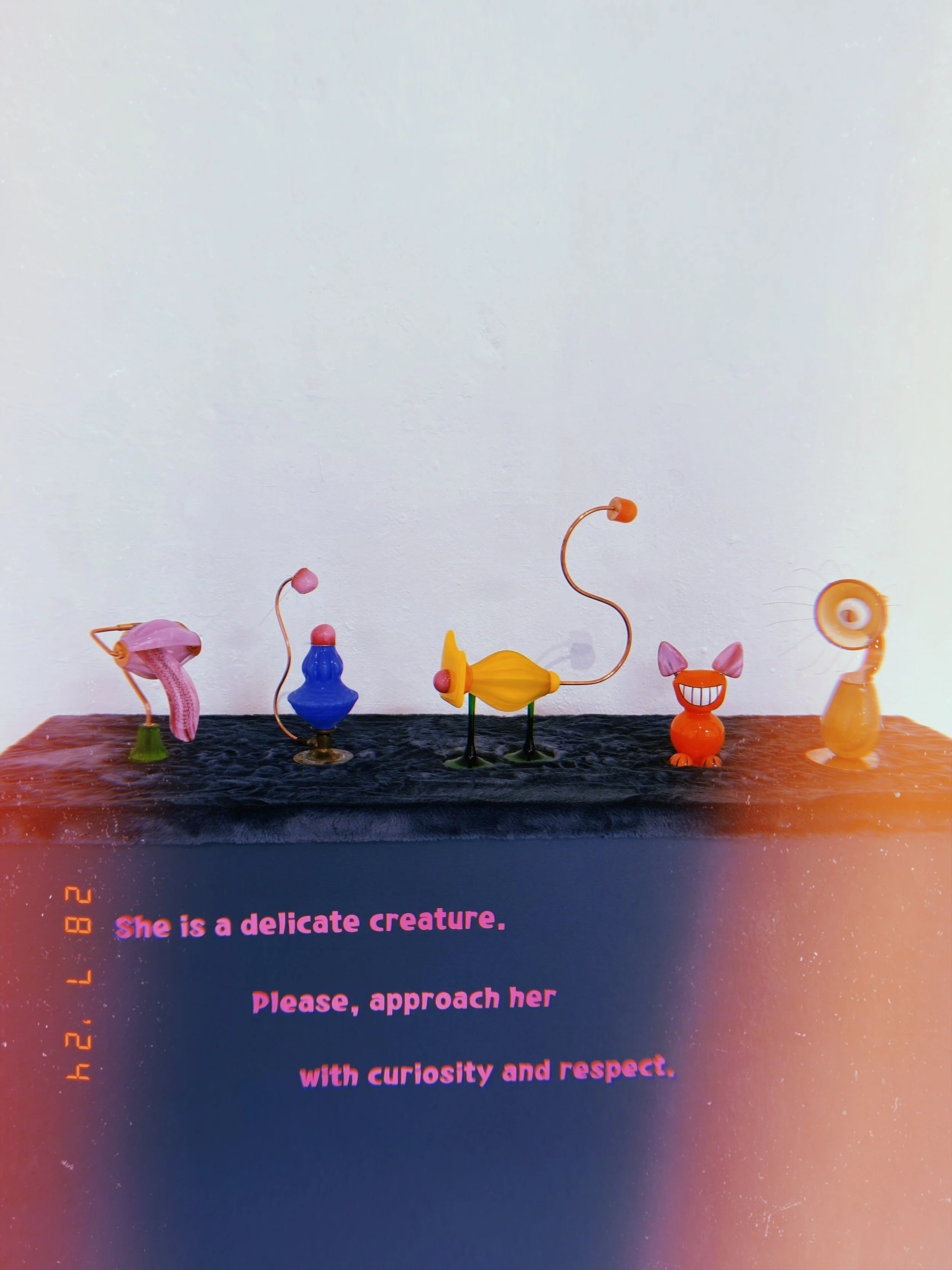 2024-07-28 13:48:26.658.JPG
