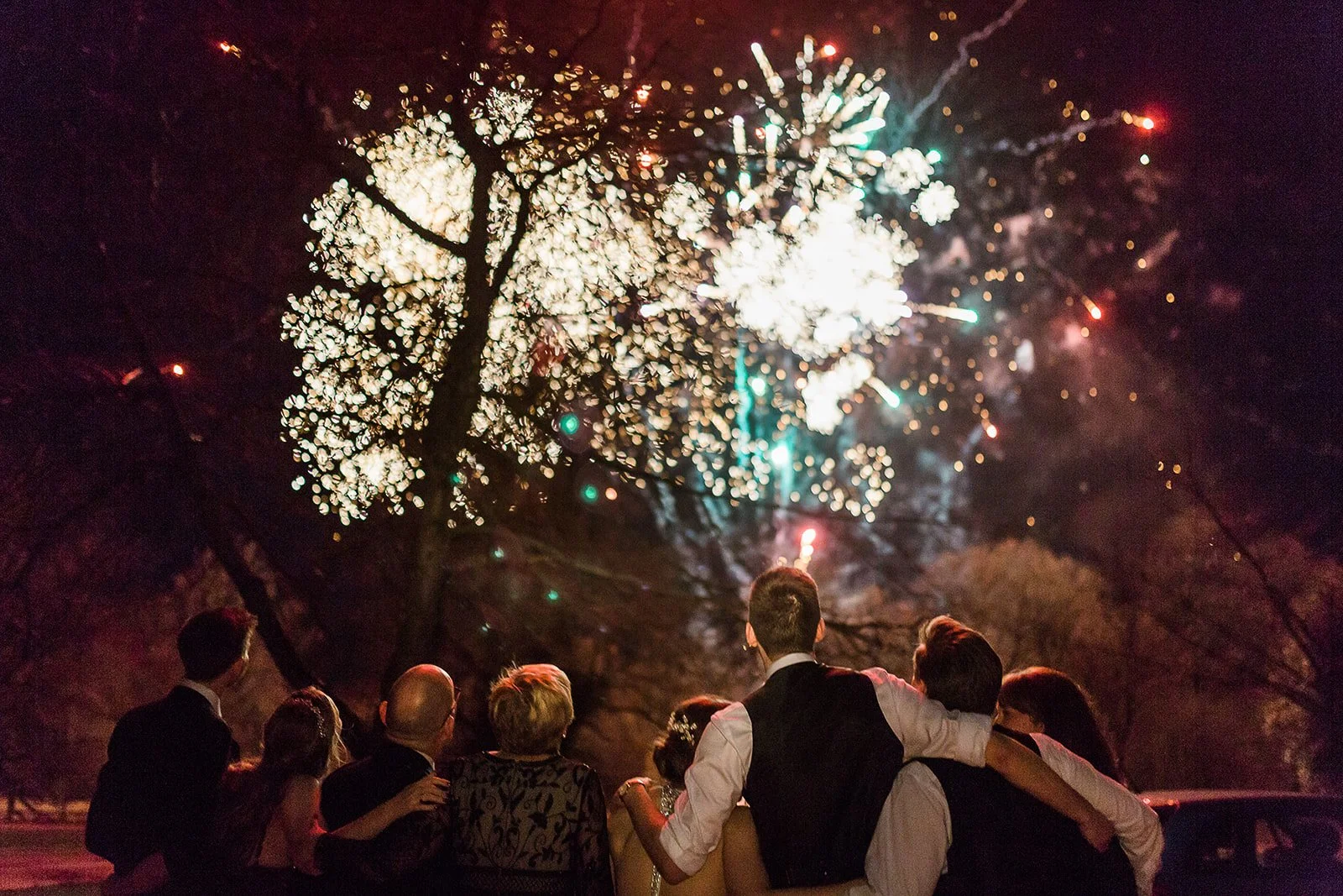 People watching fireworks display at night in a park with trees