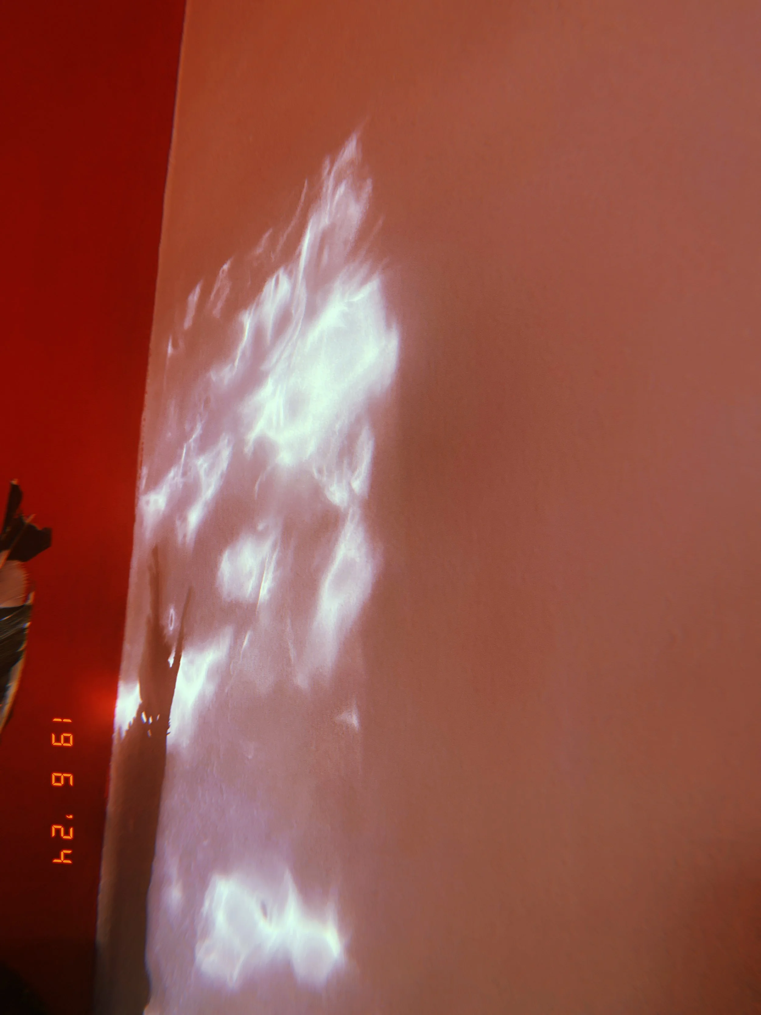 2024-06-19 20_29_31.231.JPEG