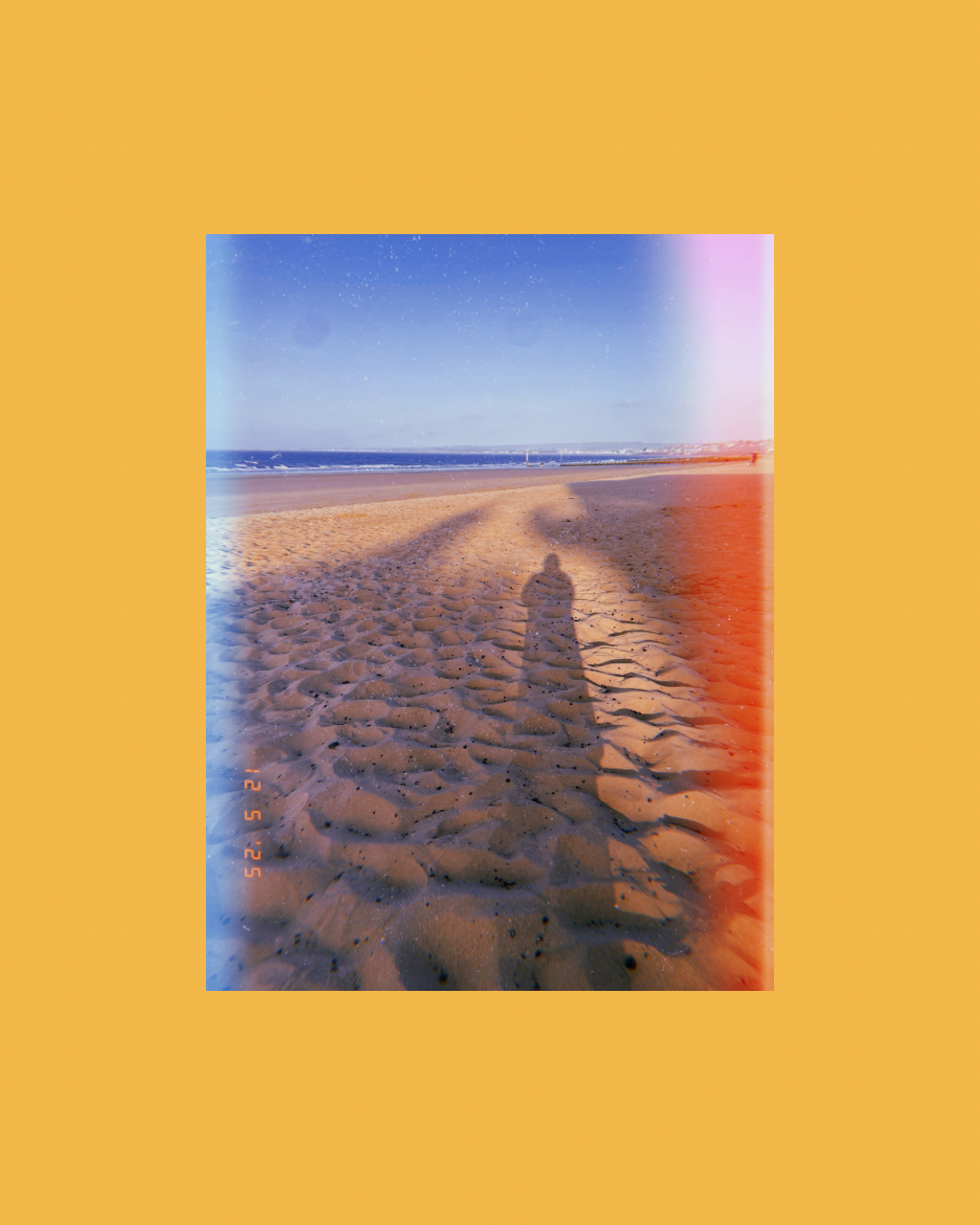 Untitled design - 4.PNG