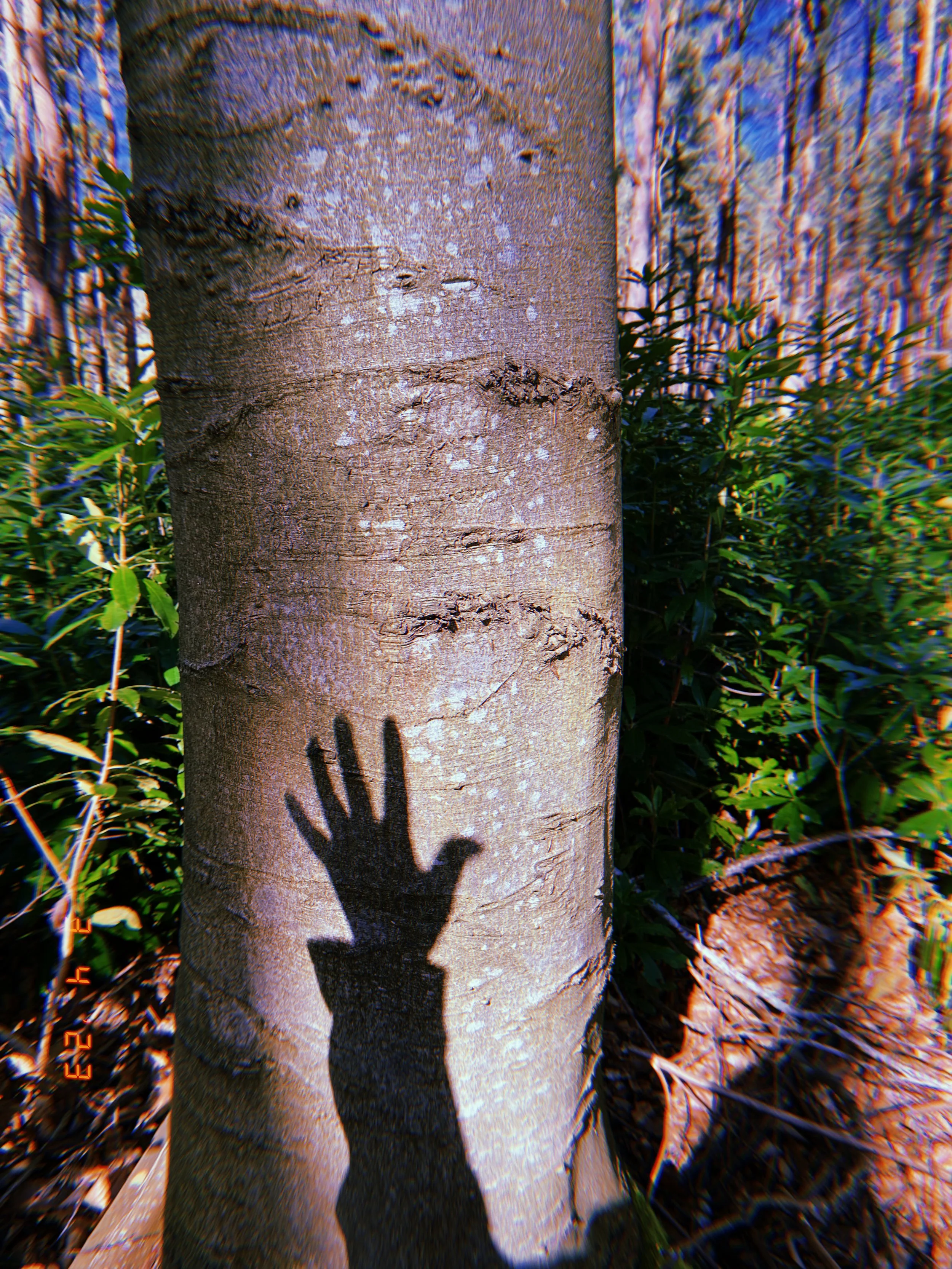 2023-04-03 13_24_22.874.JPEG