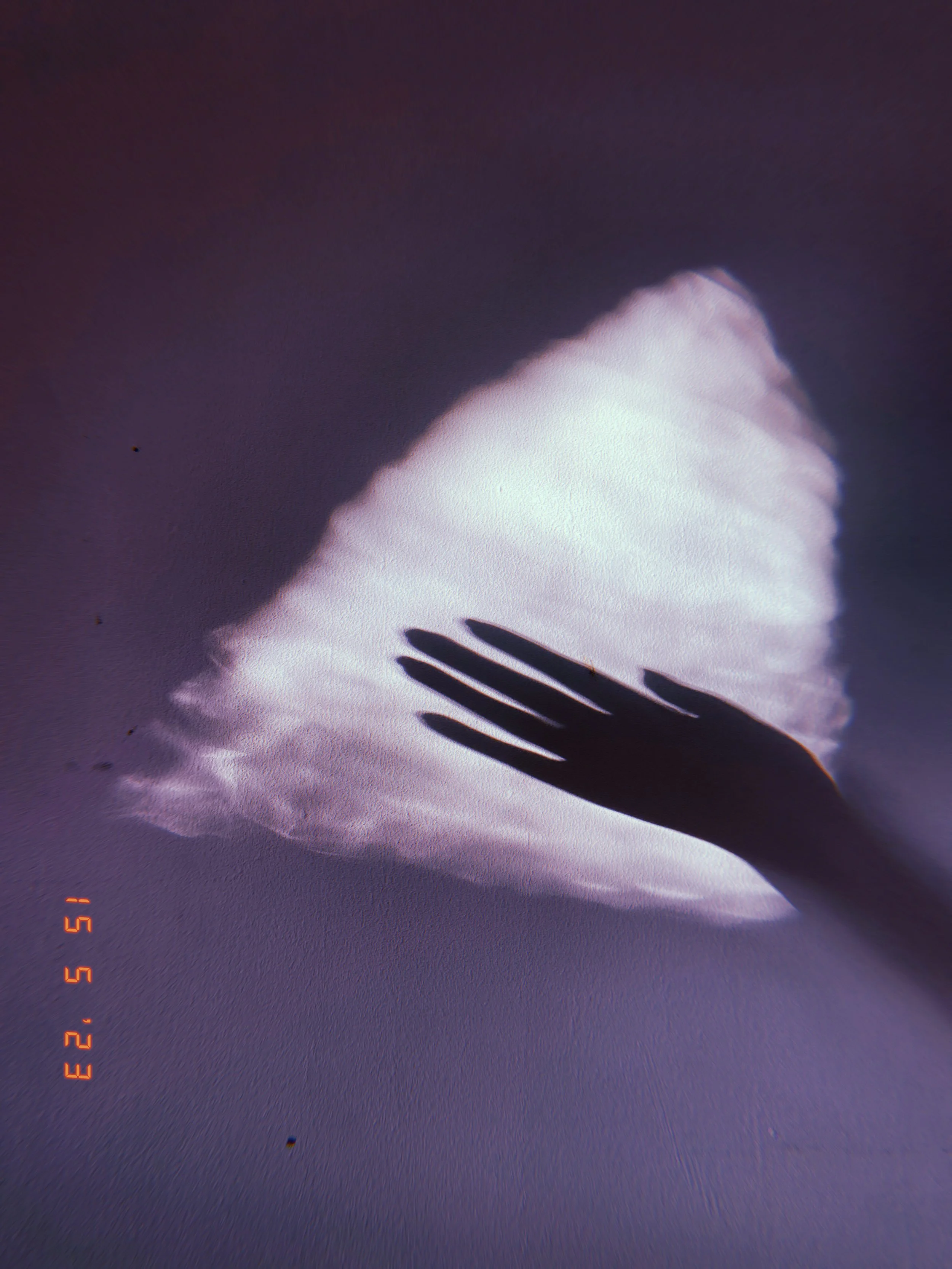 2023-05-15 20_05_05.967.JPEG