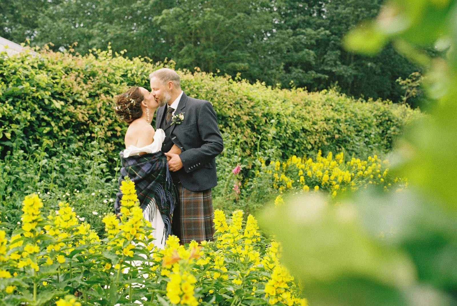 A bride and groom sharing a kiss in a garden, with the bride wearing a white dress and a tartan shawl, and the groom wearing a kilt and a dark jacket, surrounded by yellow flowers and lush green foliage.