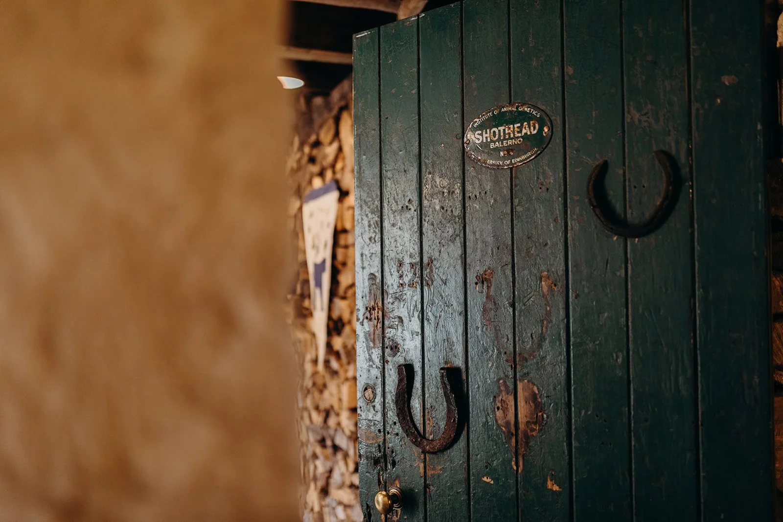 A green wooden door with scratches, a horseshoe, and a plaque that reads 'Shothead Balerno'.