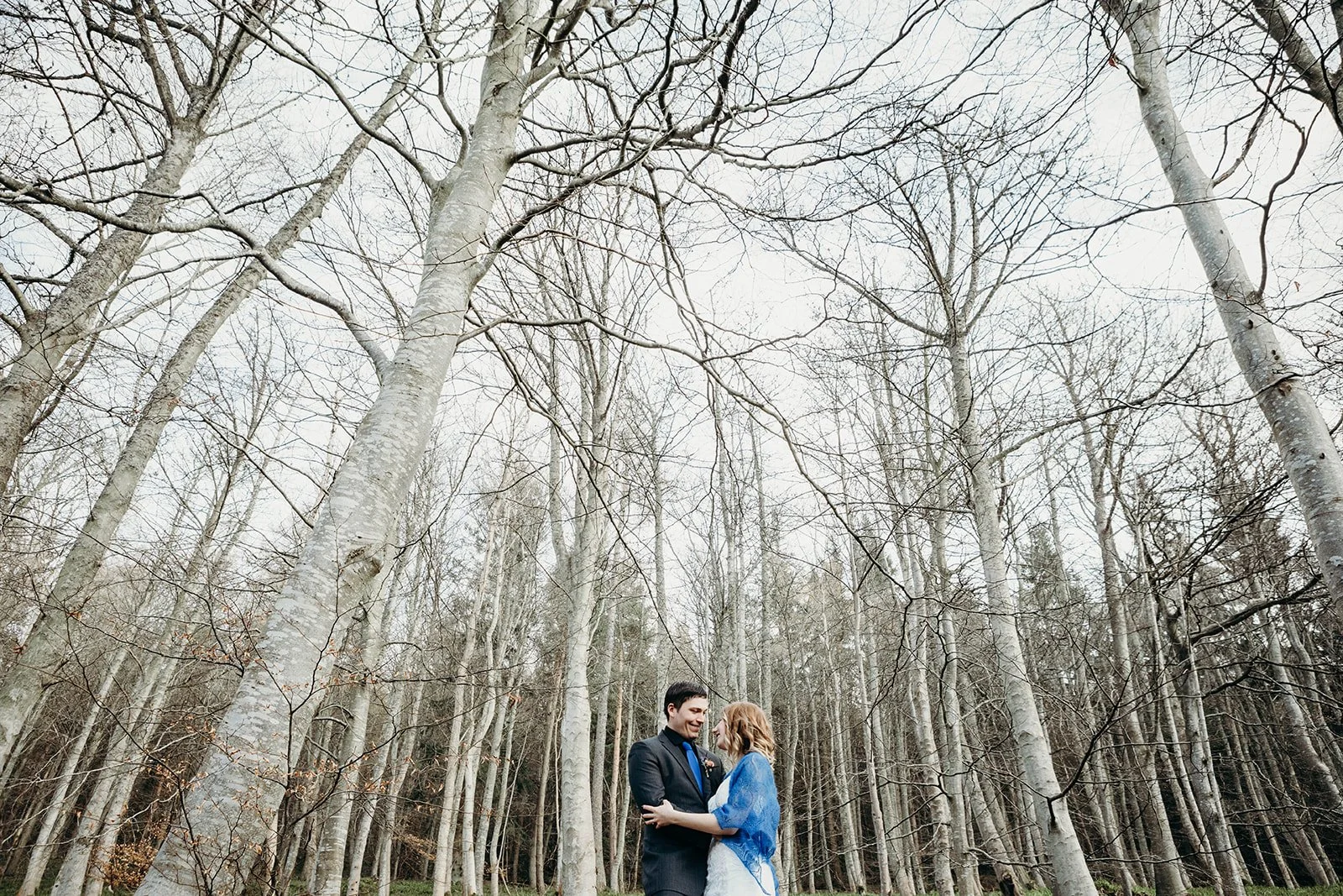 A couple in formal attire embracing in a forest of tall, leafless trees.