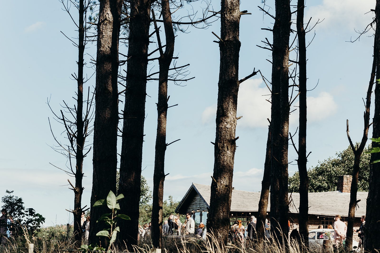 A group of people gathered outside near a rustic barn-like building, with tall, leafless pine trees in the foreground and a partly cloudy sky in the background.