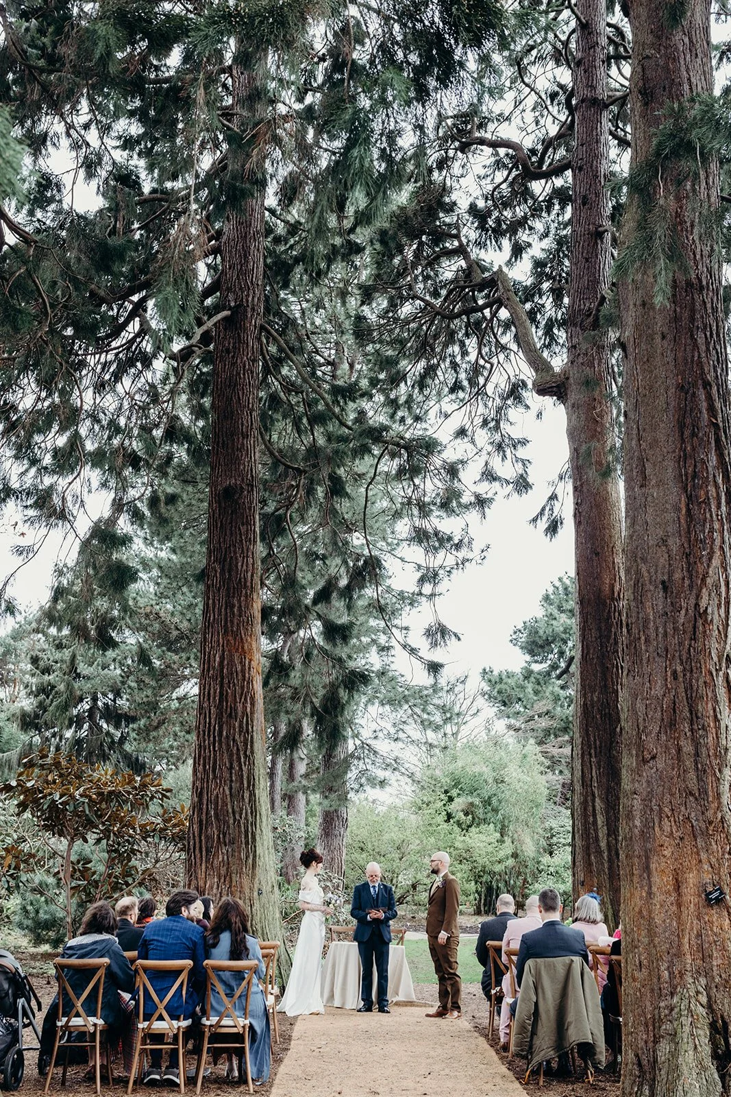 A wedding ceremony taking place outdoors in a forest clearing with tall trees, with guests seated on wooden chairs, a bride and groom facing each other, and an officiant standing between them.