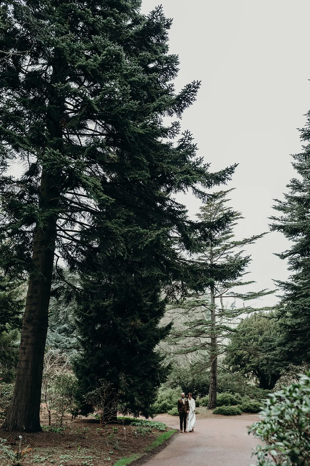 A bride and groom walking together on a curved pathway in a lush, green park with tall trees and bushes around them, under an overcast sky.