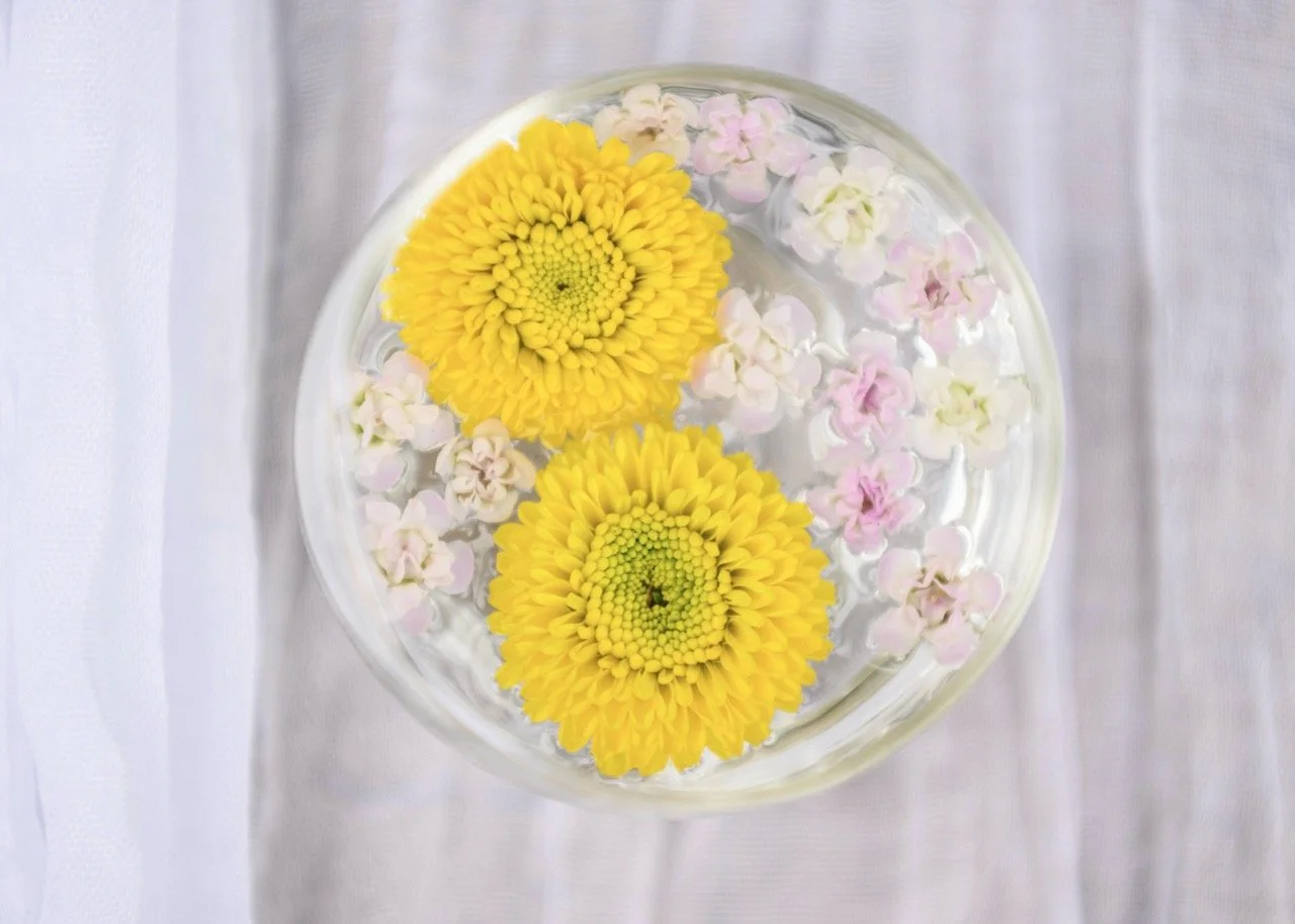 29V_0428-Edit Large.jpeg