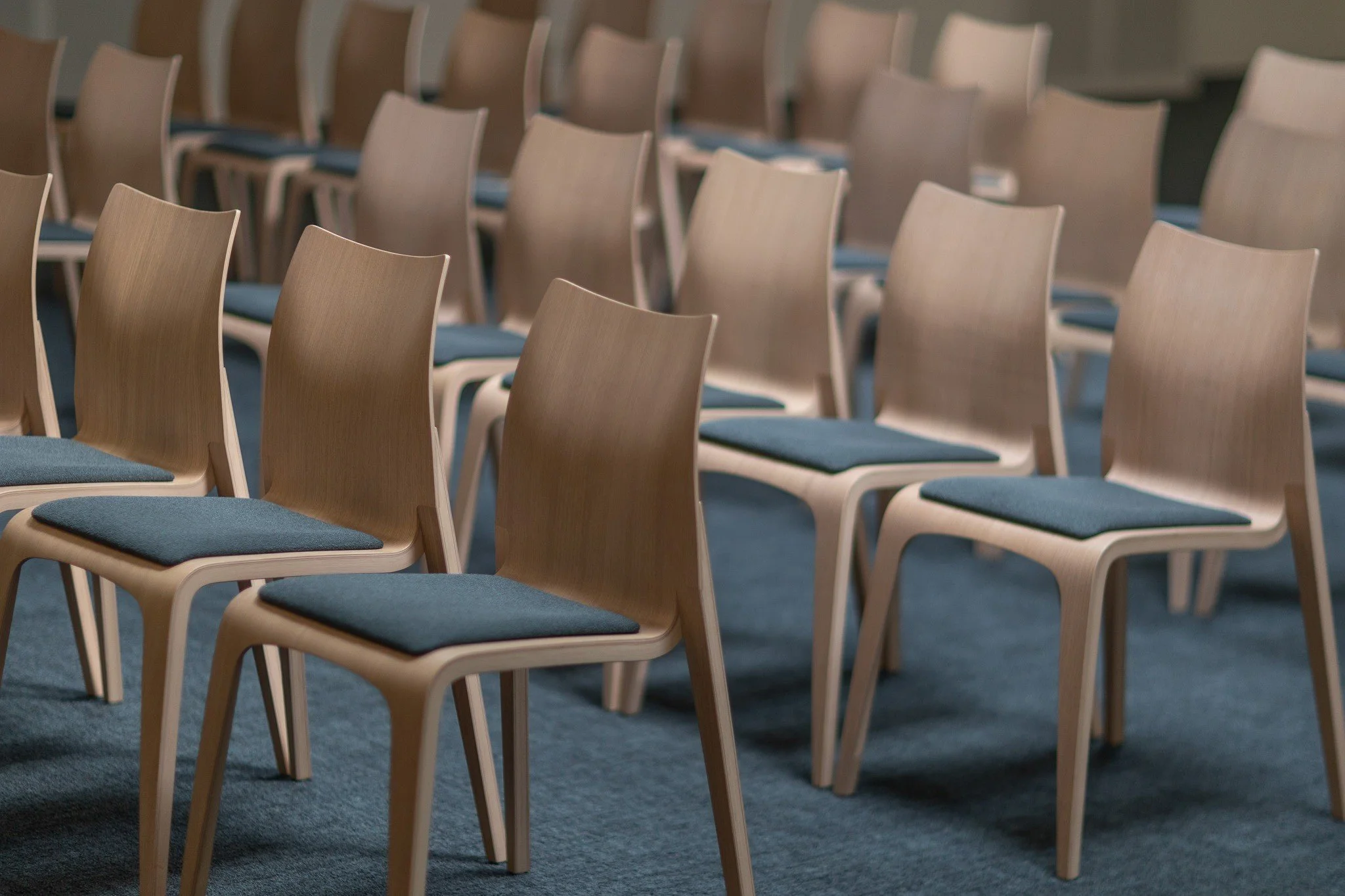 Conference seating detail showing curved timber backs and upholstered seats.