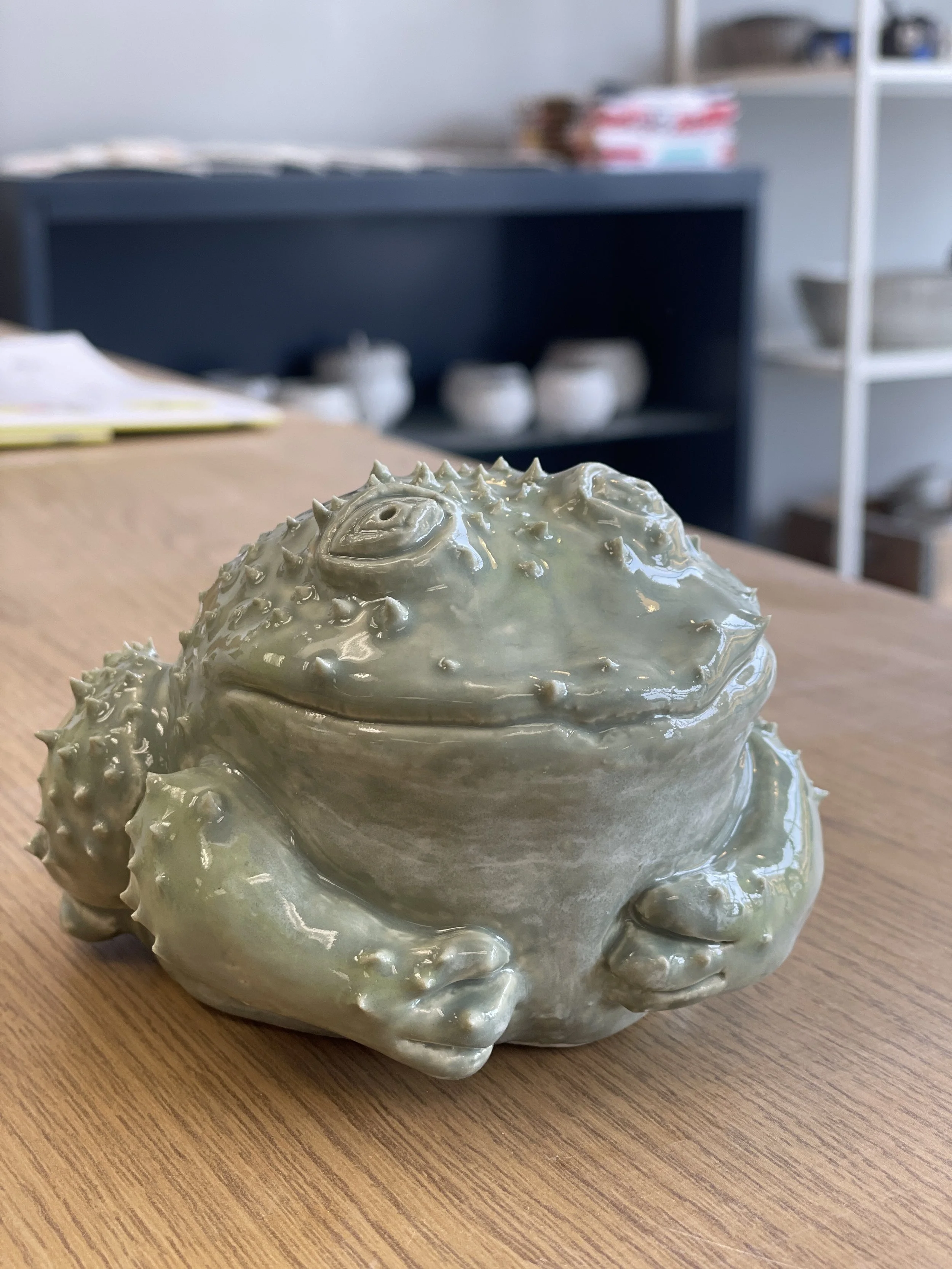 Ceramic frog figurine on a wooden table in a room with shelves in the background.