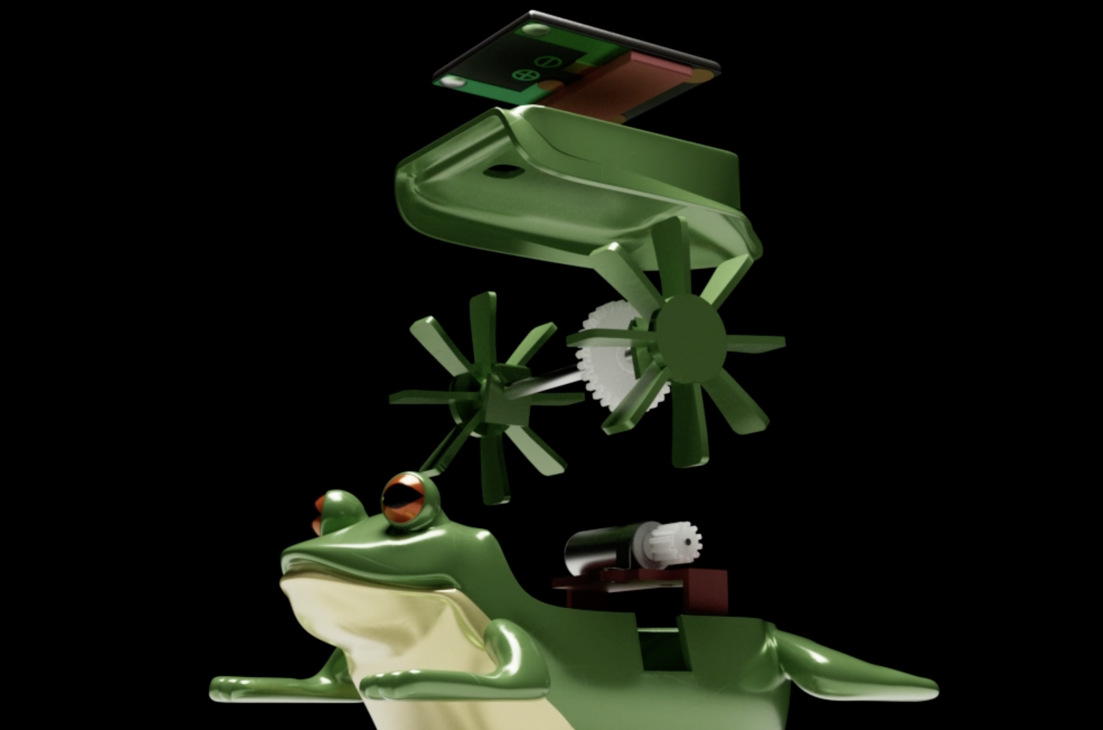 THE GUARDIAN TOAD — JHONA GIBSON * C D / C W