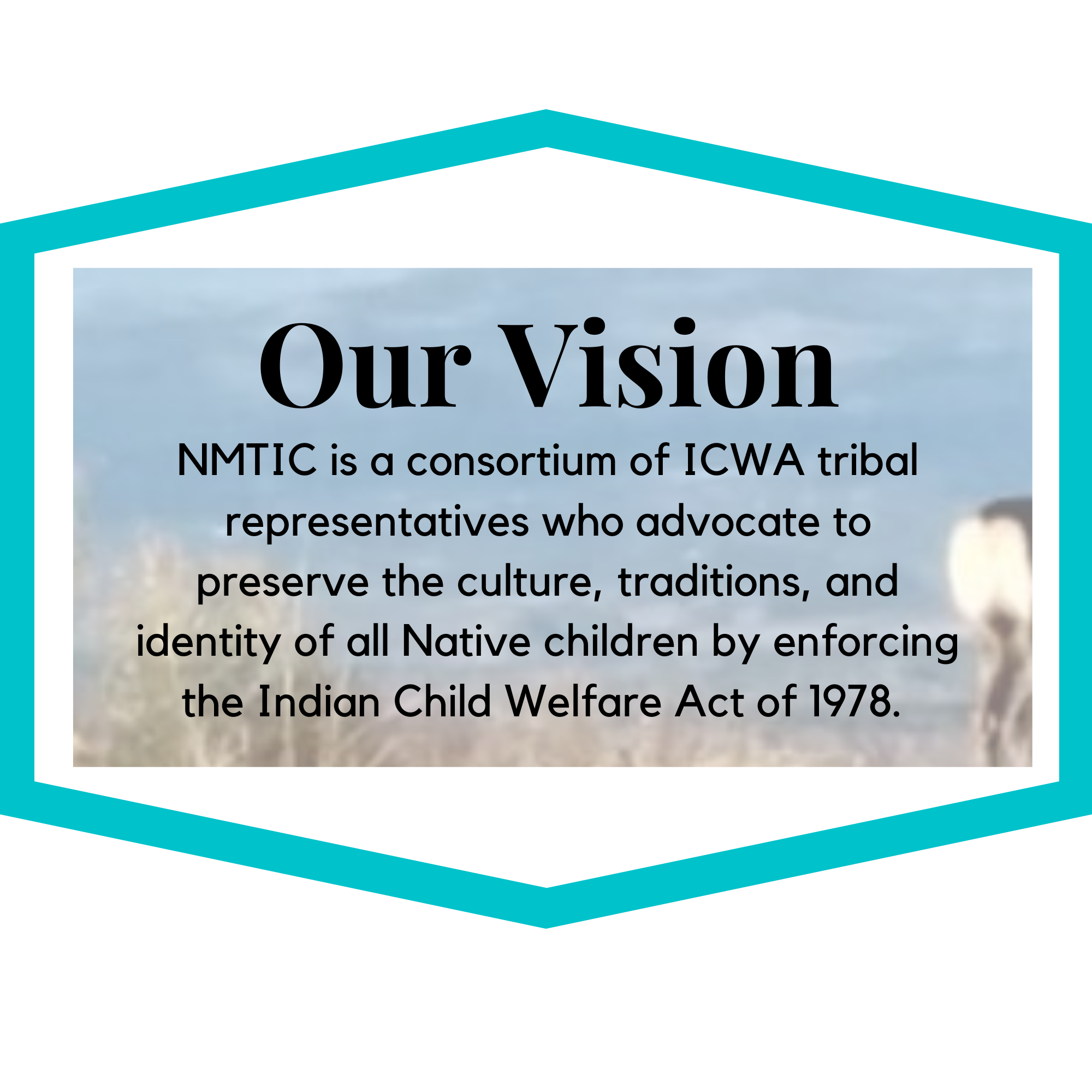 Our Vision (2).png