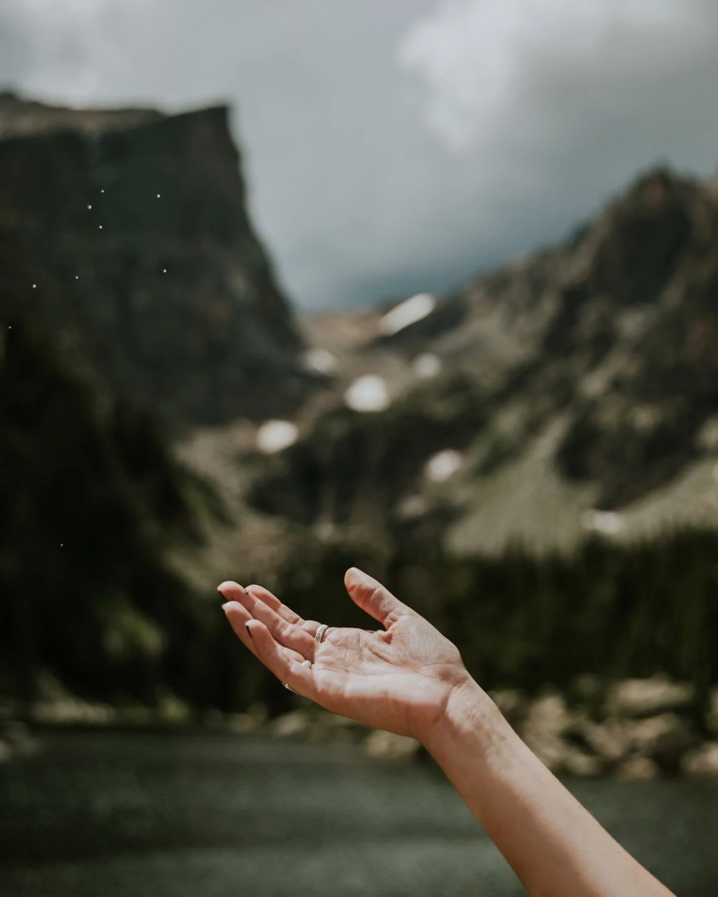 unsplash-image-FORk44FjtYk.jpg