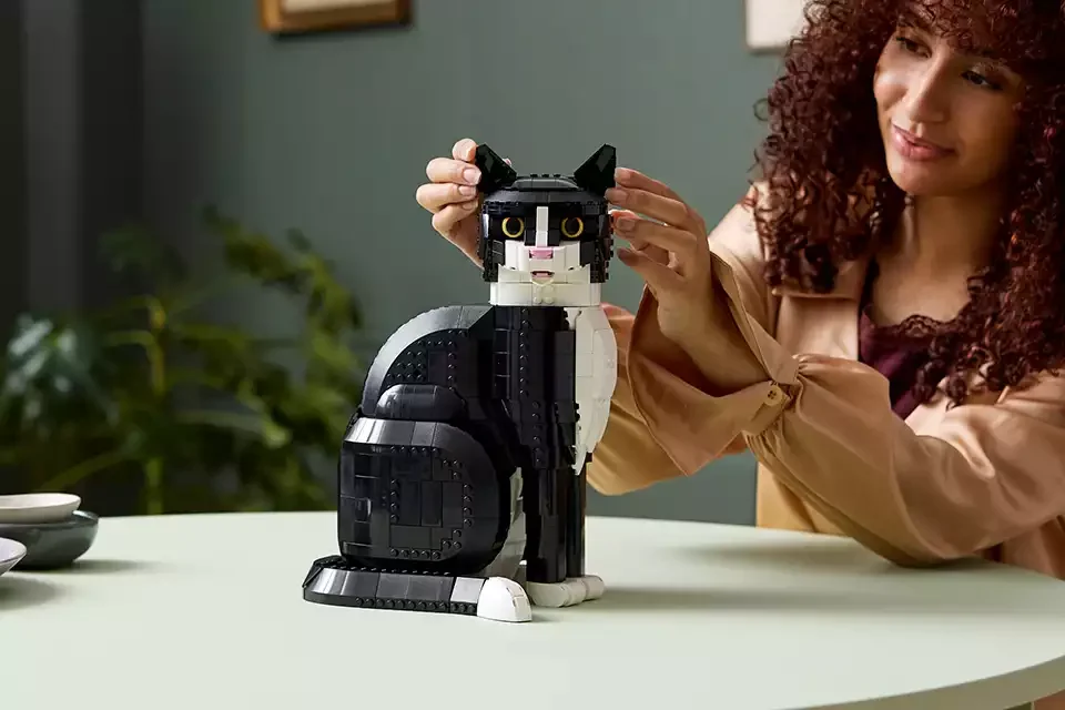 lego adult.webp