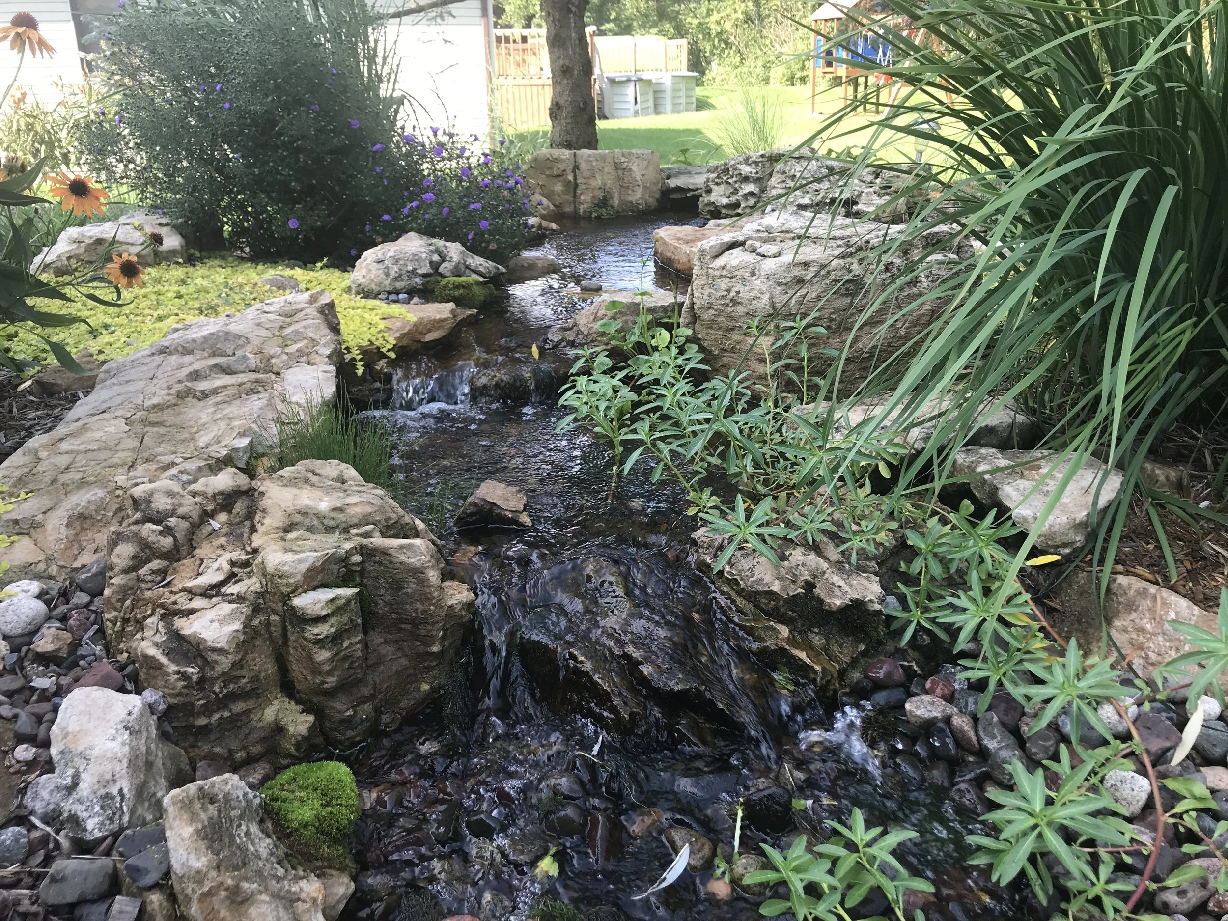 12 foot pondless.JPG