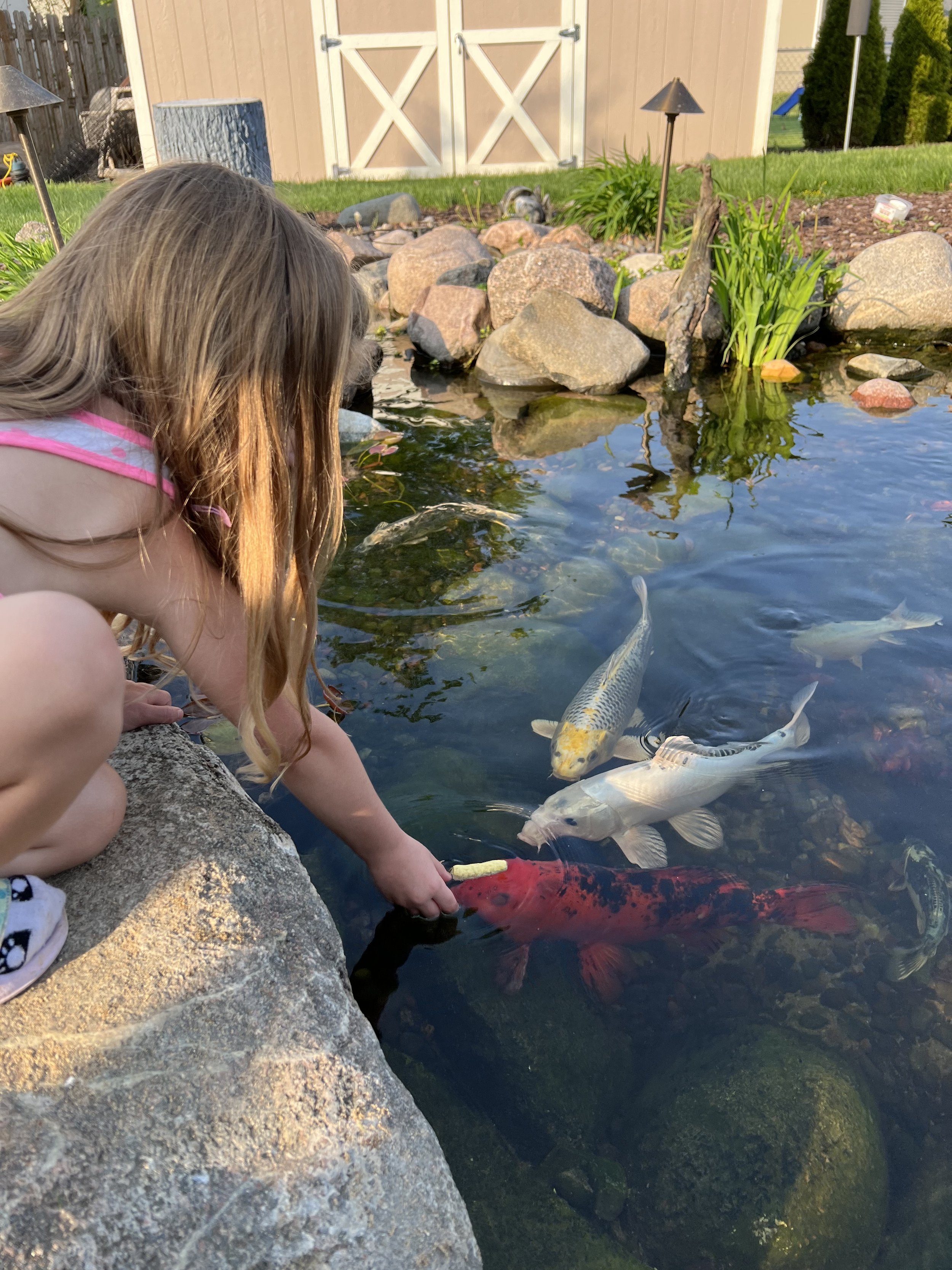 Hand Feeding Fish.jpeg