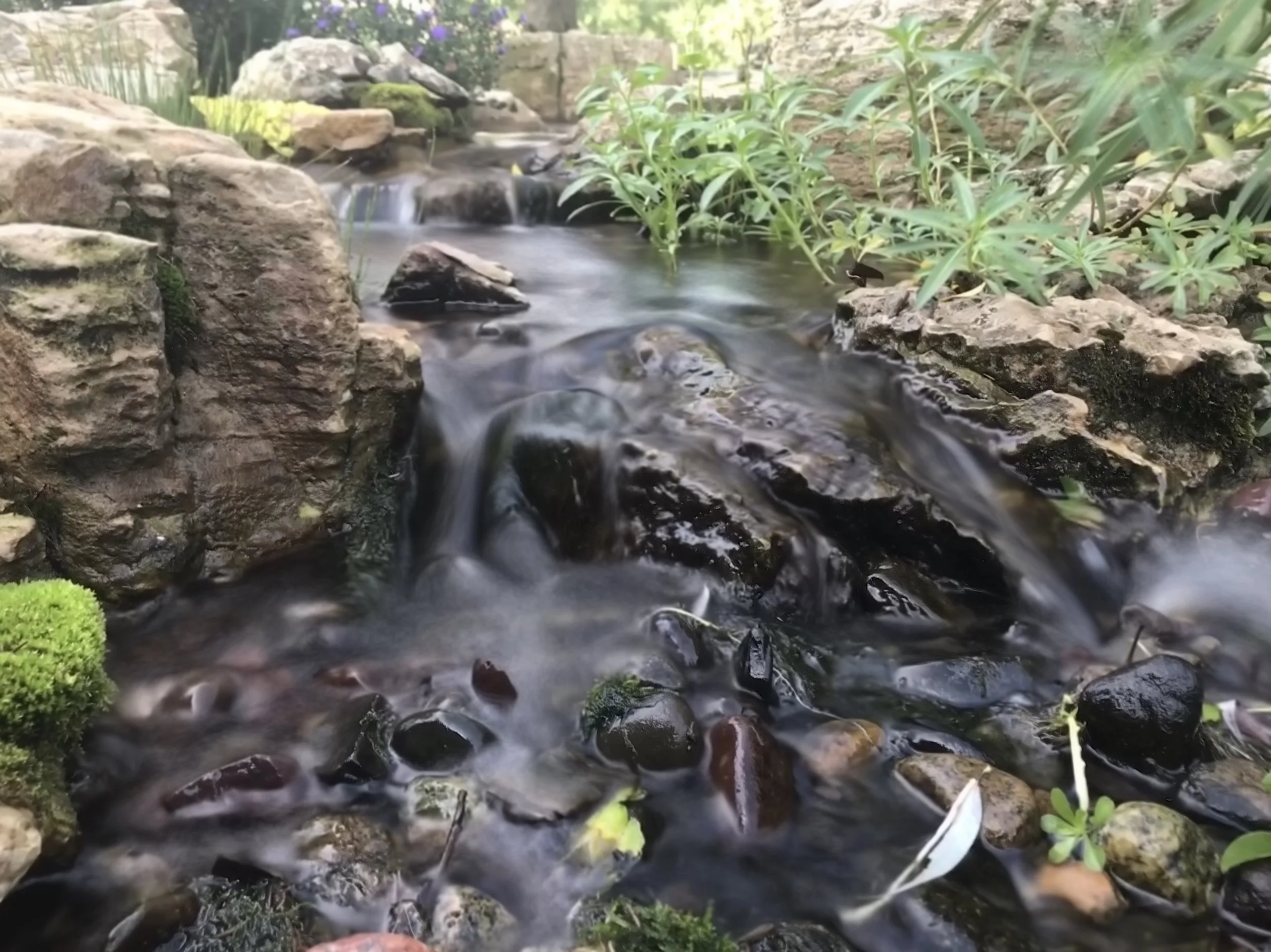 Pondless Closeup.JPEG