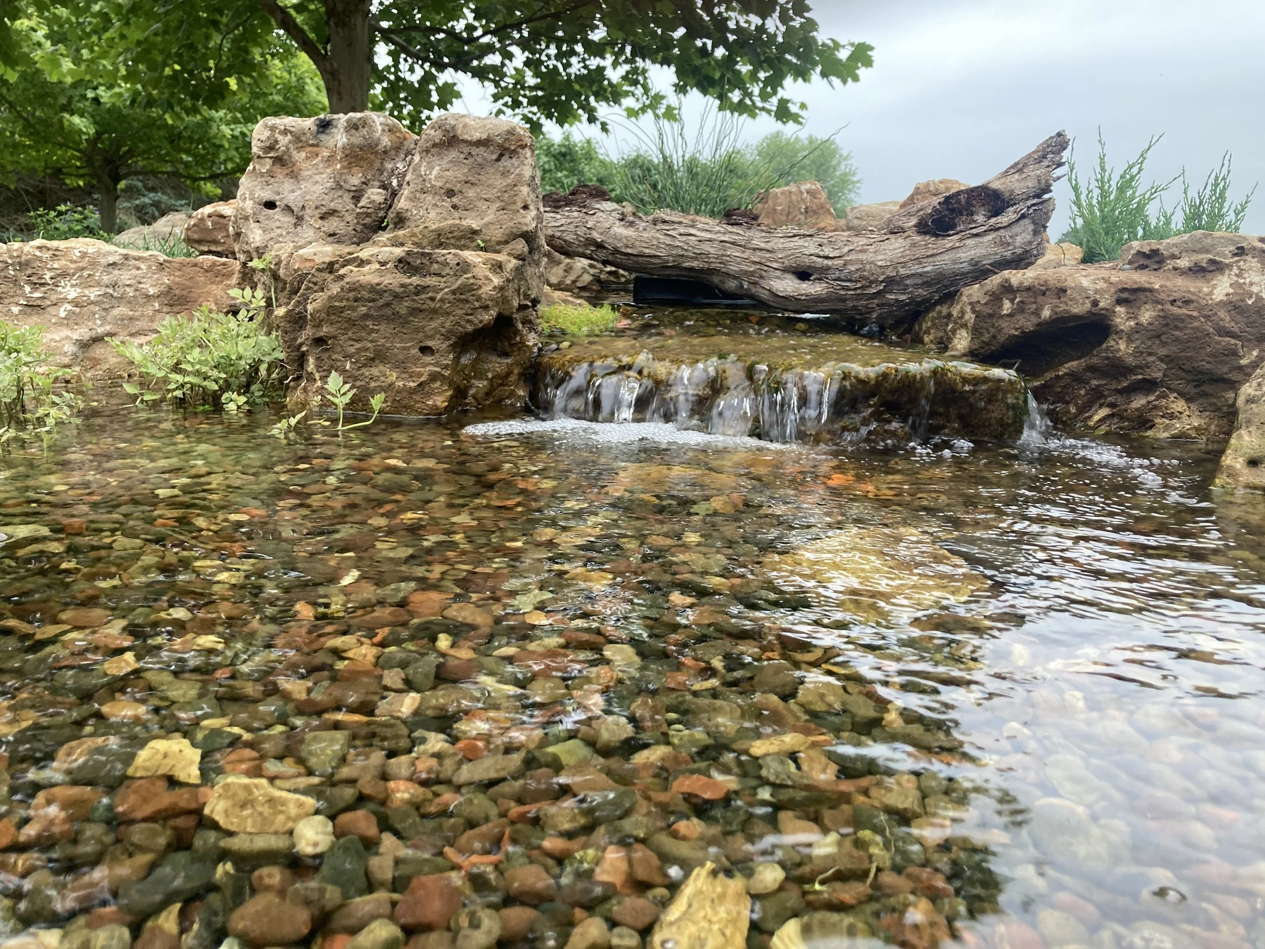 Stream.JPG