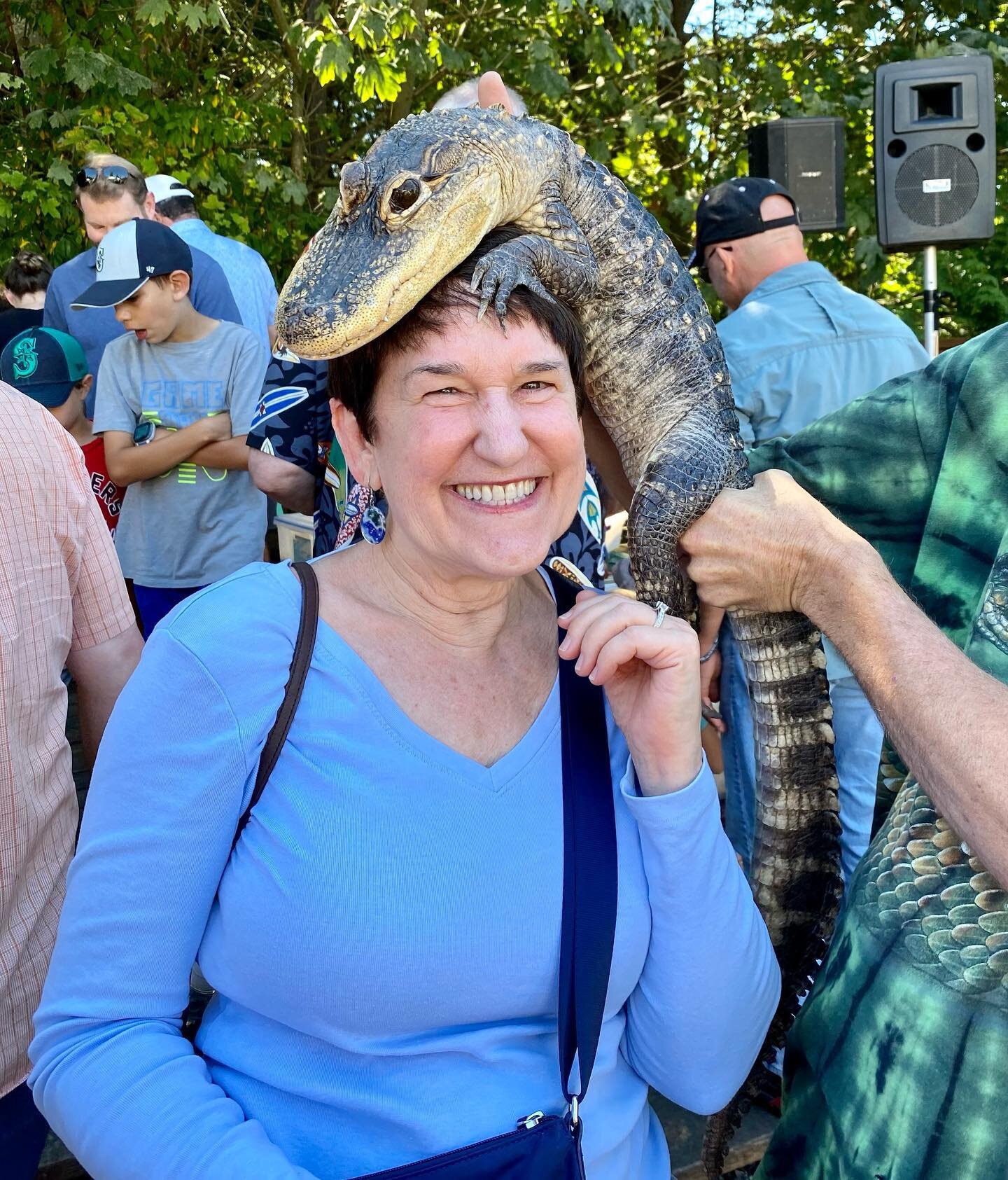 Lucy the Alligator is very chill.