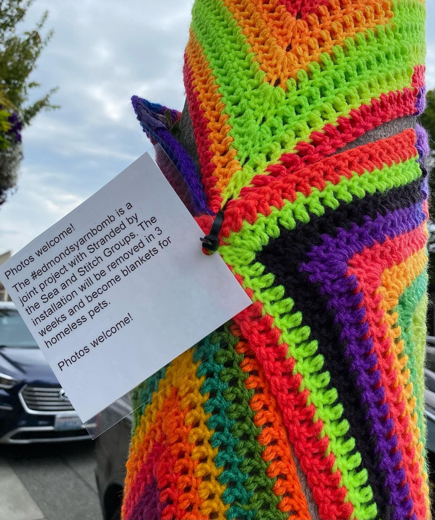 The yarn bombers have wrapped Edmonds!