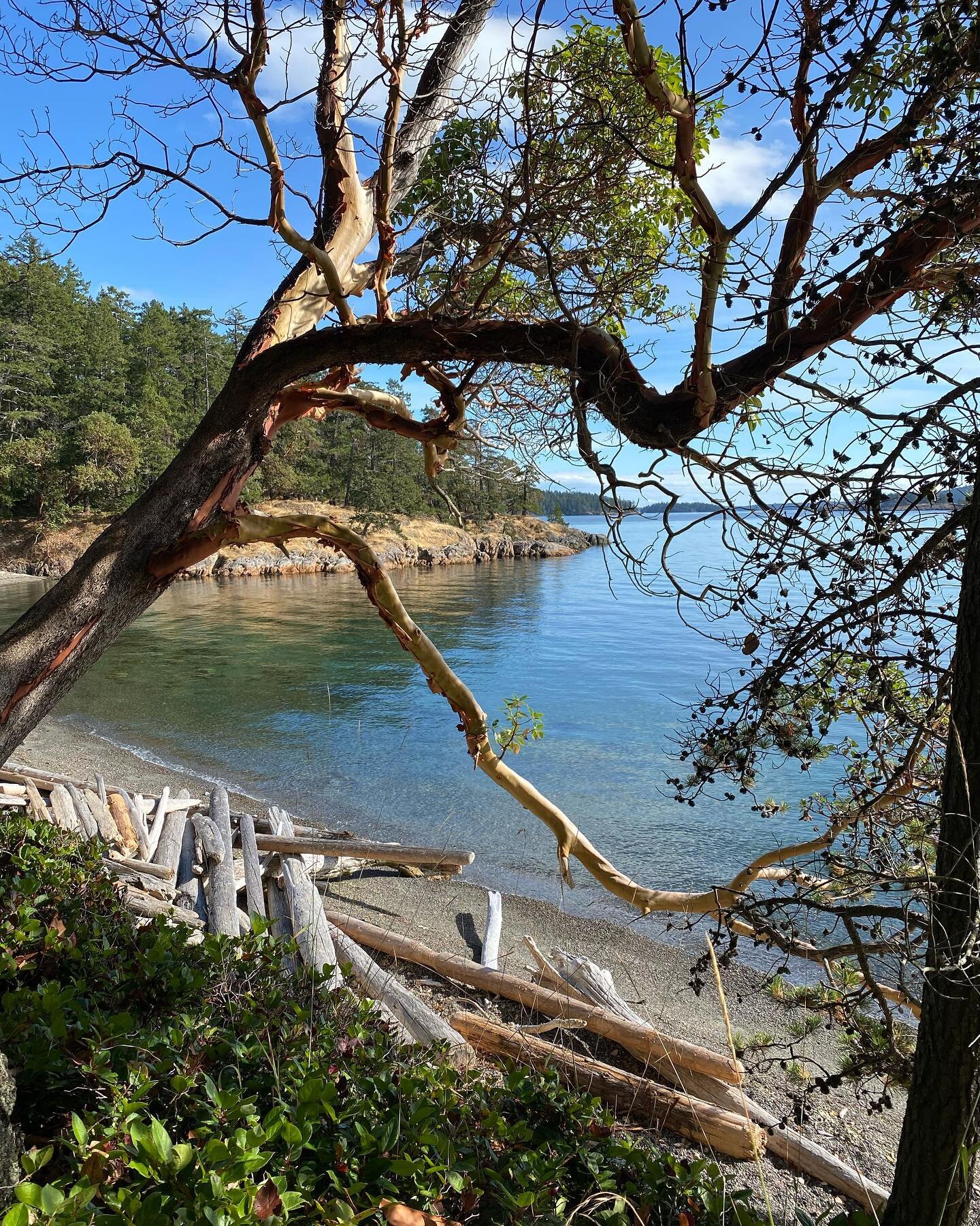 Accessible only by sailboat or motorboat, Jones Island State Park offers two loop trails&mdash;one to the east and one to the west. Simple, right? Just when I was thought I would have to call for help, I found two other people who felt like they&rsqu