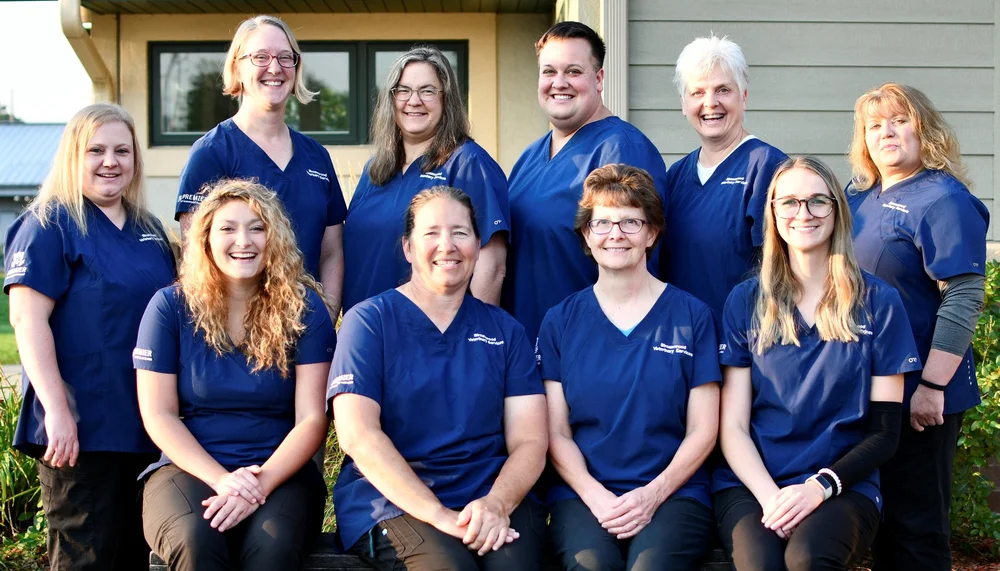 Small Animal Vet Services Birnamwood, WI Birnamwood Veterinary Services