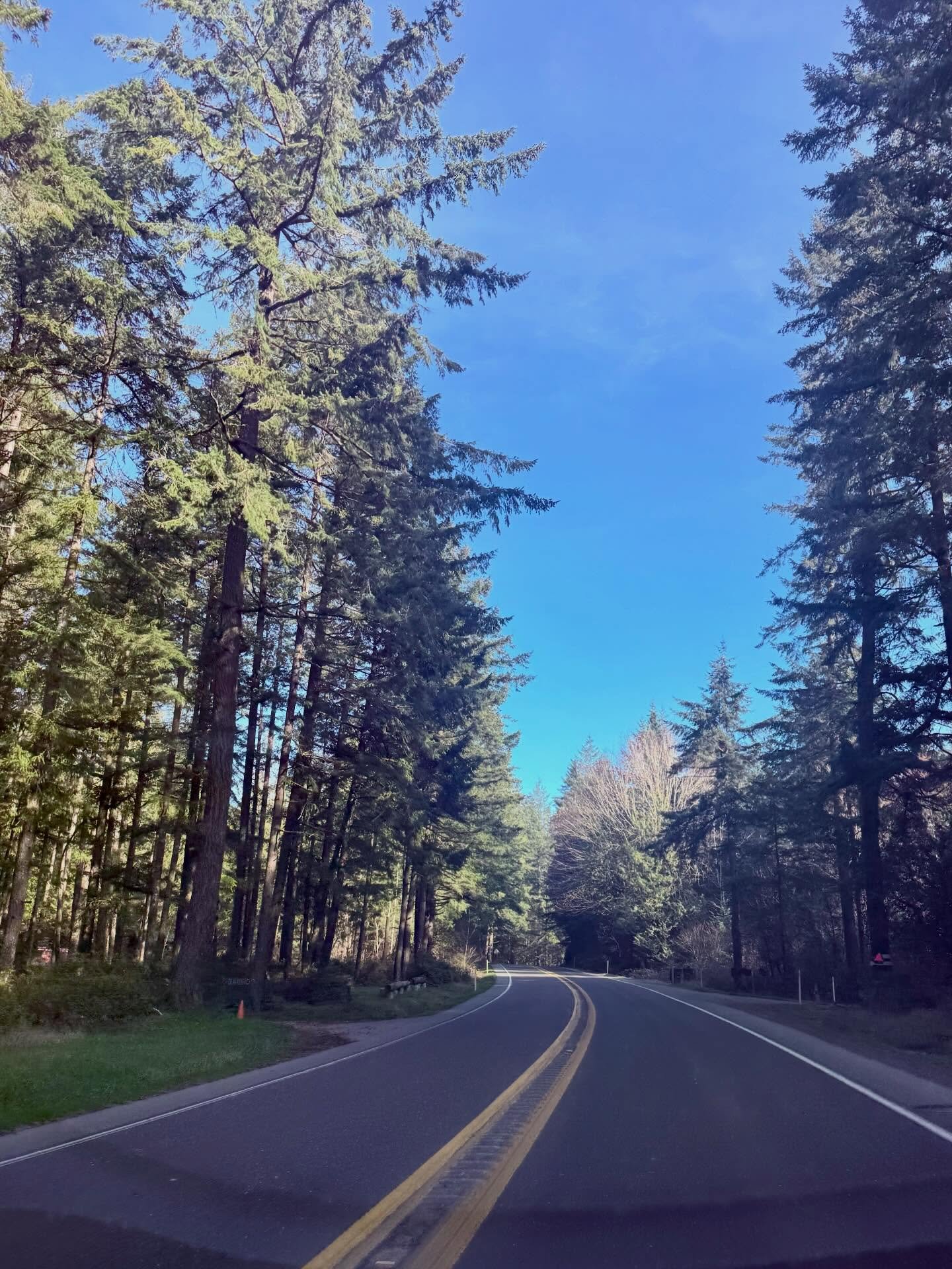A beautiful, brisk sun-shiny winter day in the #PNW ☀️🌲🏔️ 

Drove from the Pennisula to Seattle and now heading back home ✈️

Not nearly enough time, but a wonderful visit full of memories, emotions, and so many hugs ❤️
