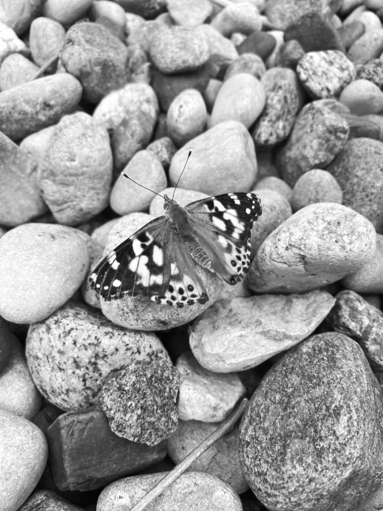 testimonial from mindfulness mysteries parent.jpg