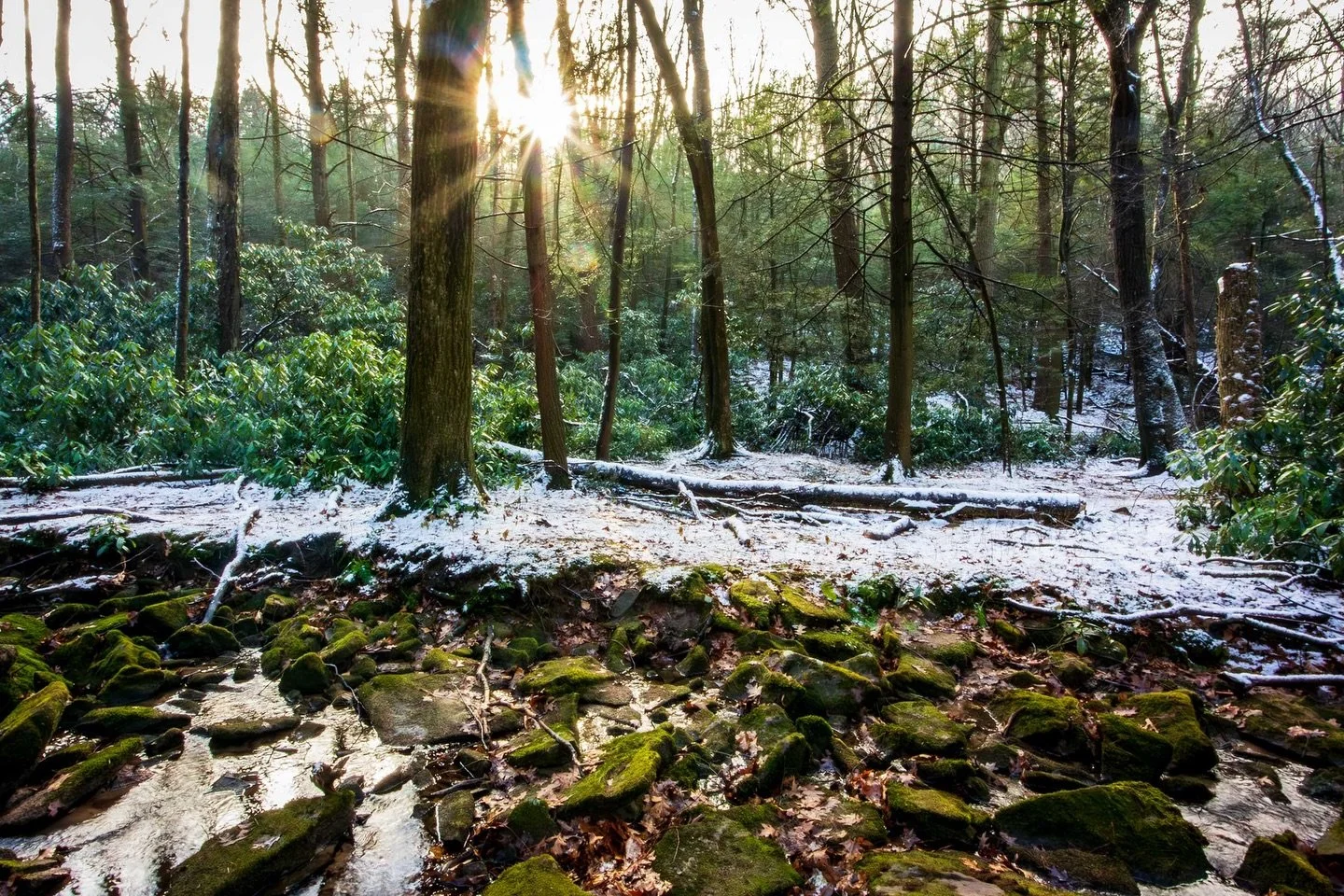 Today&rsquo;s Power Lunch theme - create your own sunshine this winter!🌞🤸🏼&zwj;♀️
The days are short, it&rsquo;s cold outside, and I miss the sun. It might come out briefly, but quickly disappears again behind a hazy gray. I&rsquo;m feeling it. So