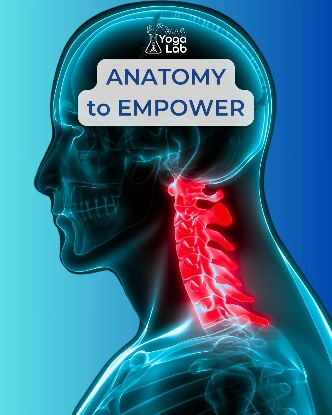 A human has 7 cervical vertebrae. How many cervical vertebrae does a giraffe have? The same number! Only 7, but each one is REALLY big!

Do your neck and shoulders feel tight and cranky? My theme this week is &ldquo;Long Neck = Flowing Energy&rdquo;,
