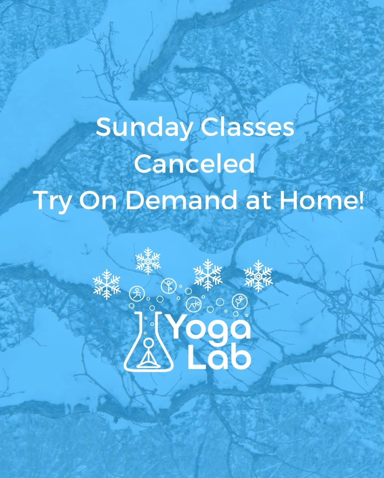 In anticipation of the winter storm, classes are canceled this Sunday. Try one of our On Demand videos to continue your practice at home! 

Stay warm and safe.

❄️❄️❄️❄️❄️❄️