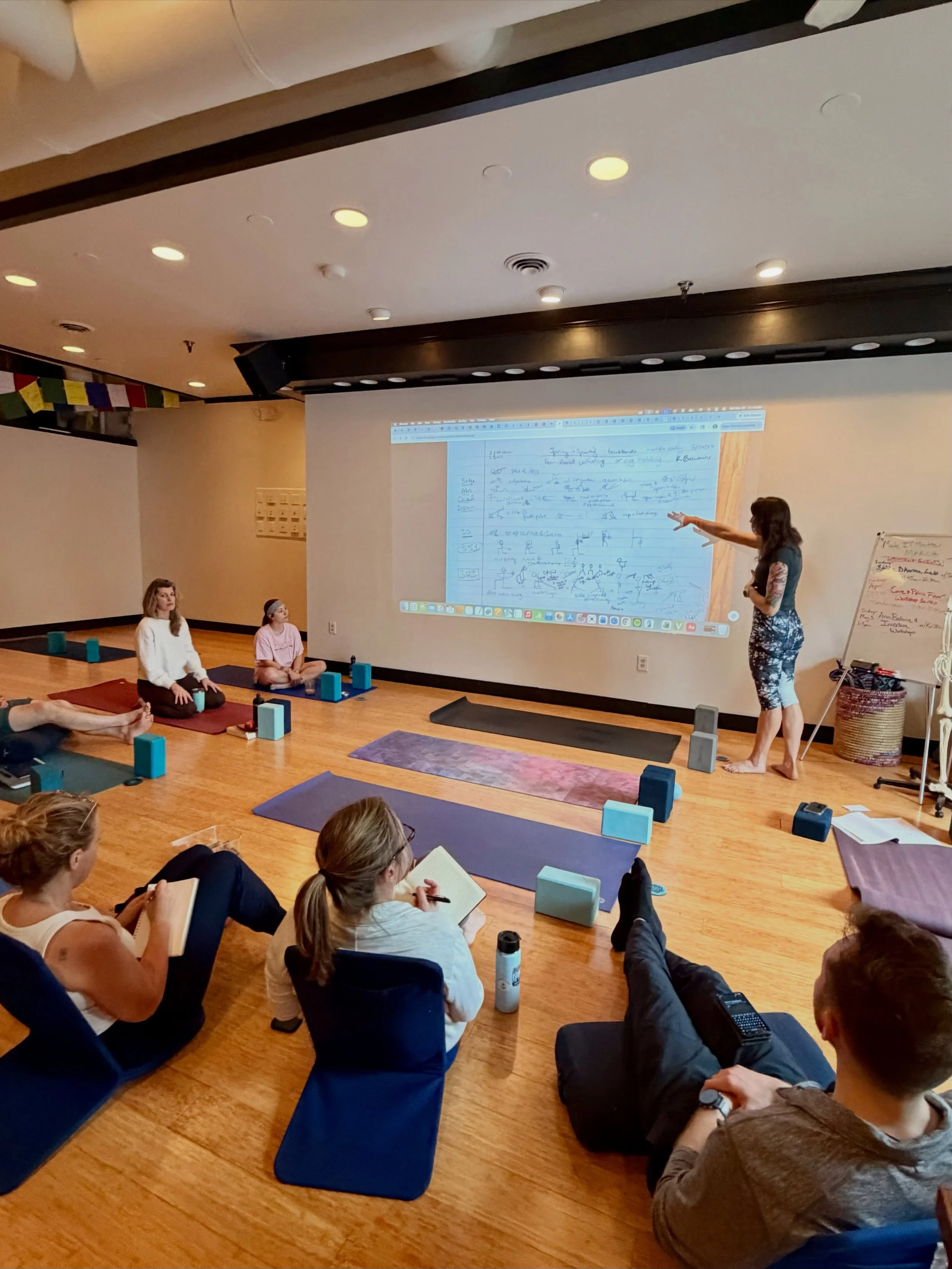 Save $350! Apply by July 1 to catch the early bird discount for our next 200hr Yoga Teacher Training, Fall 2026 - Spring 2027.

Plus: Free Unlimited Yoga Classes During Training! Training cost includes 8-months Unlimited Membership during training ($