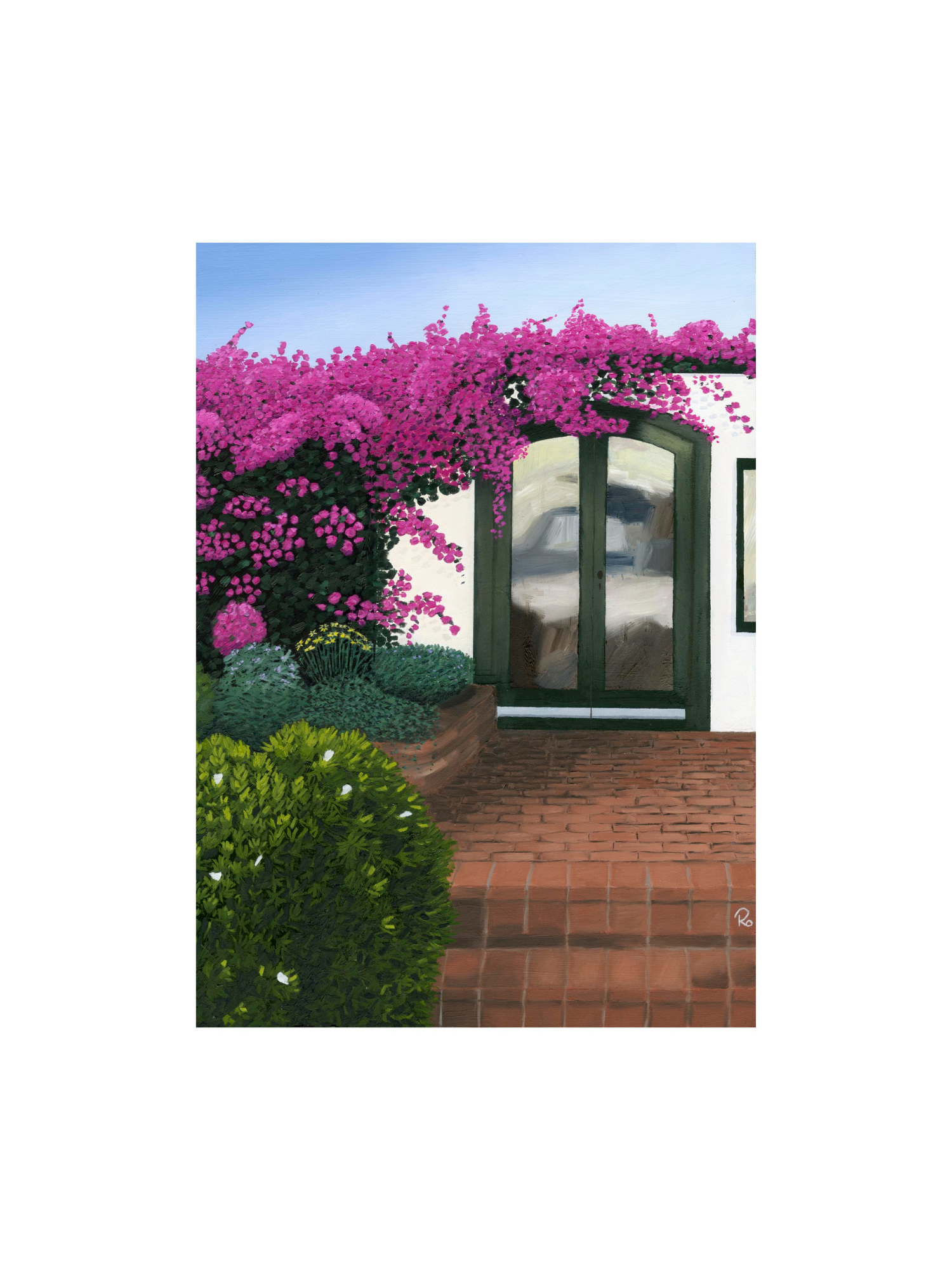 Bougainvillea Bloom