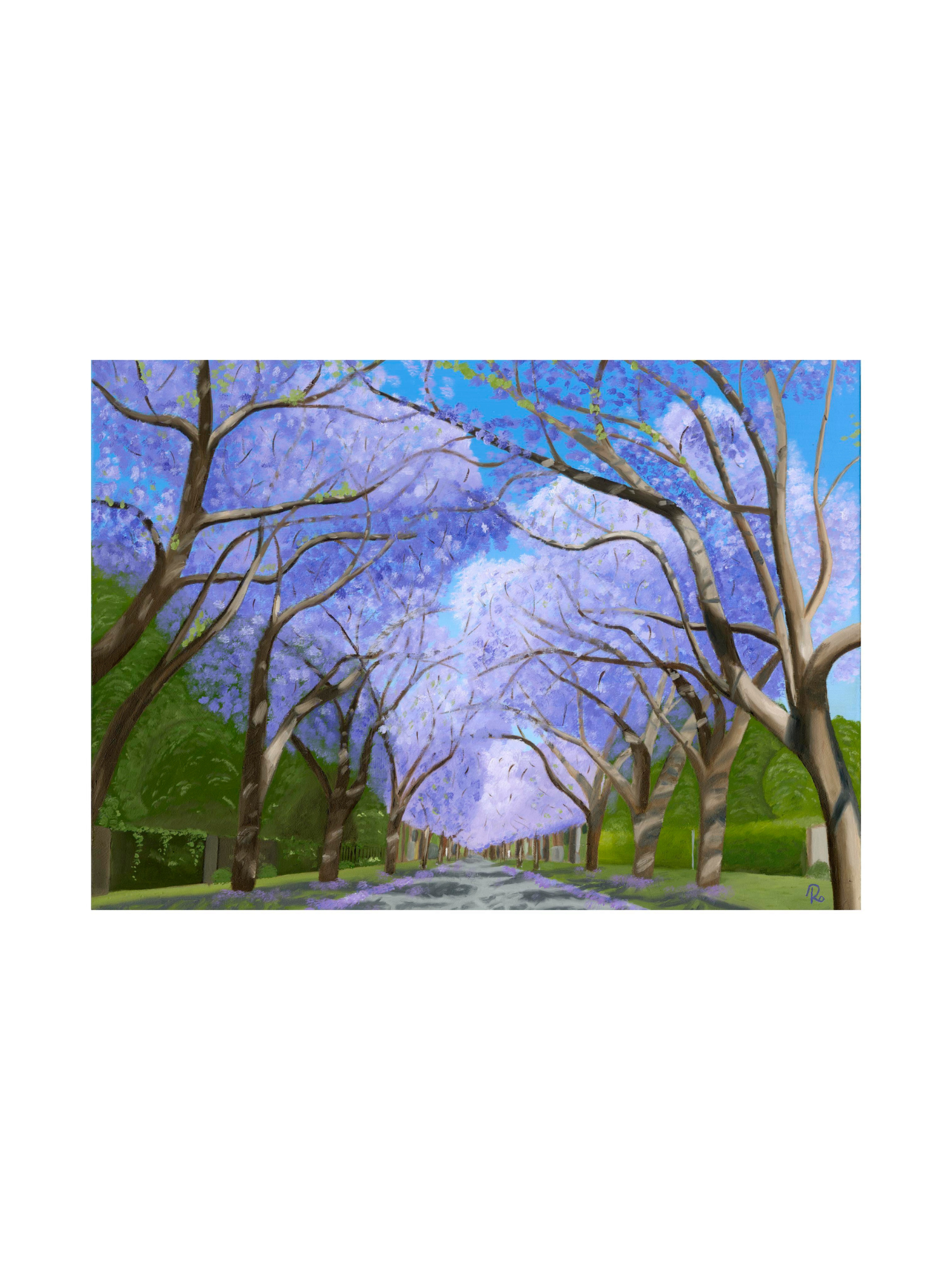 Jacaranda Lane