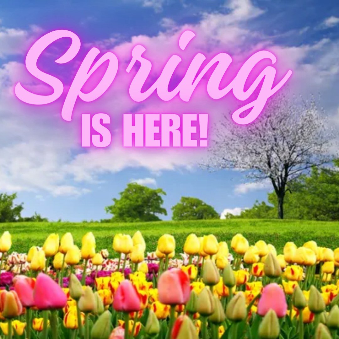 Today we welcome the Spring Equinox with open arms! Nature is awakening from it's winter slumber, and we're beginning to see all the beauty that Spring has in store for us!
#springequinox2024 #FirstDayofSpring