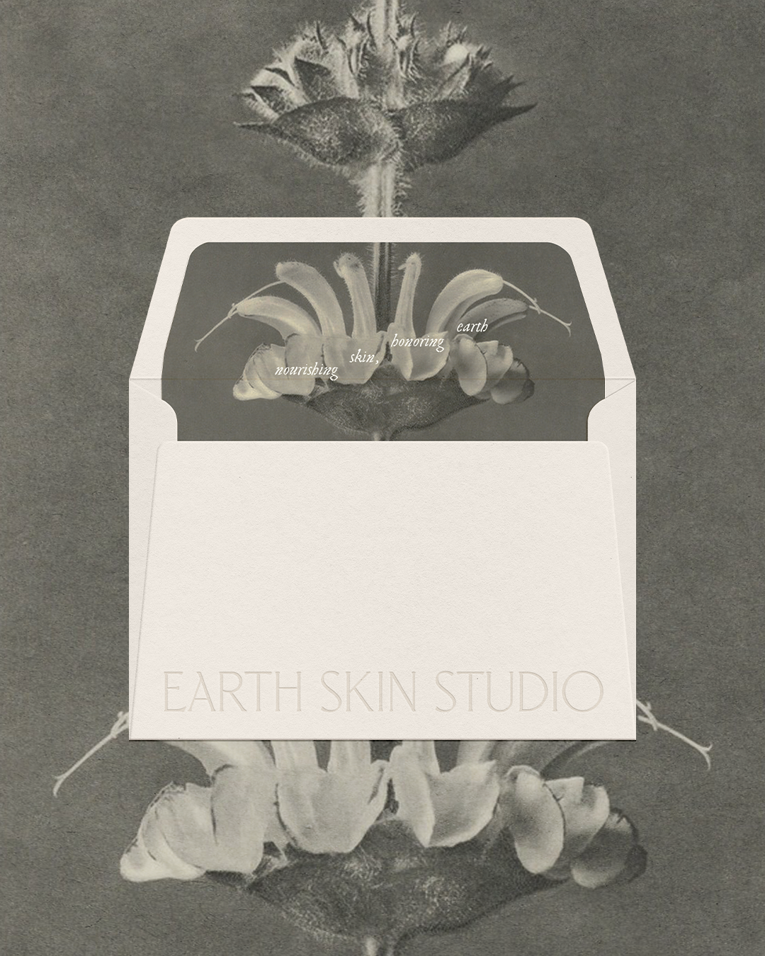 Earth Skin Studio | Brand Identity