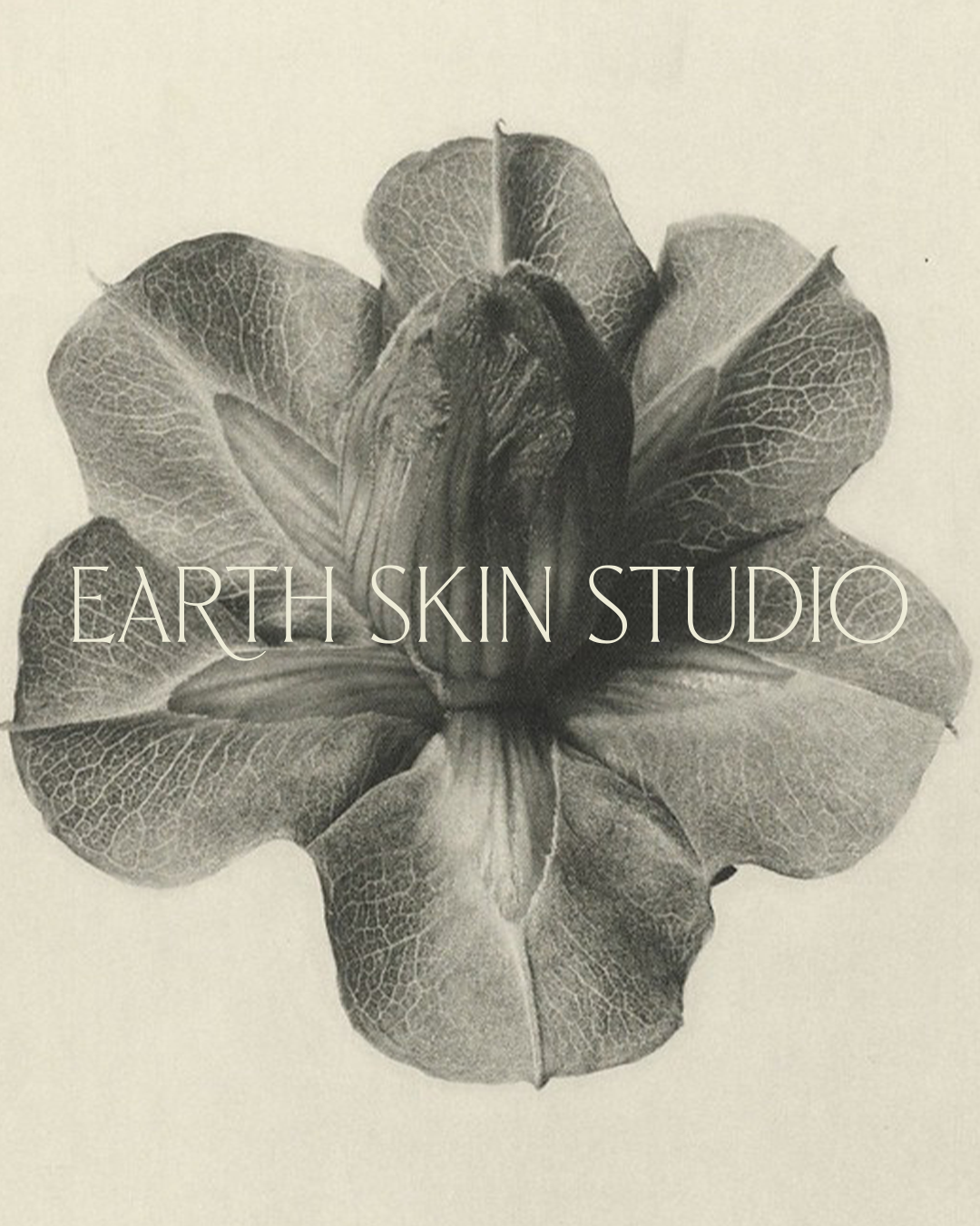 Earth Skin Studio | Brand Identity