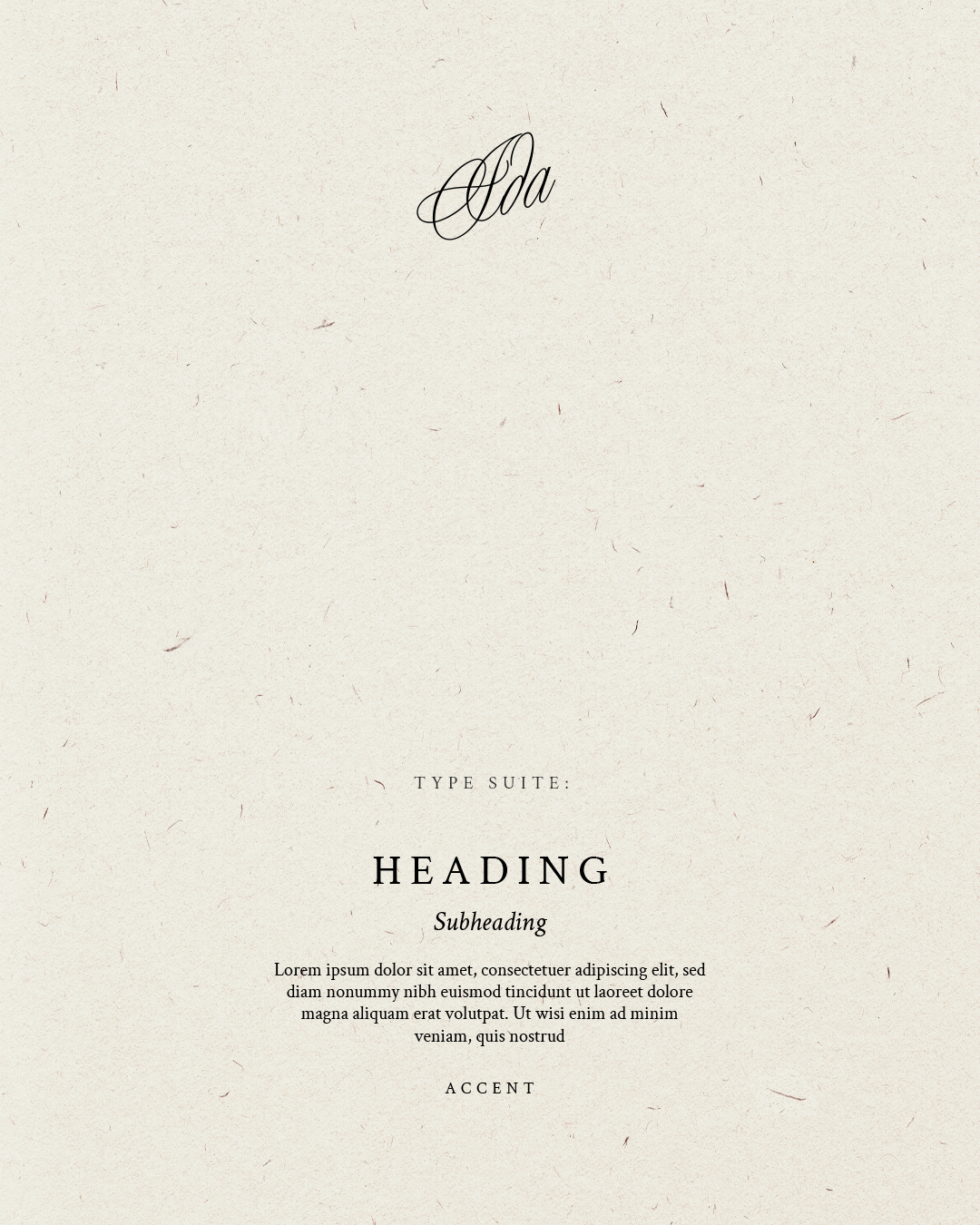 Typography suite.png