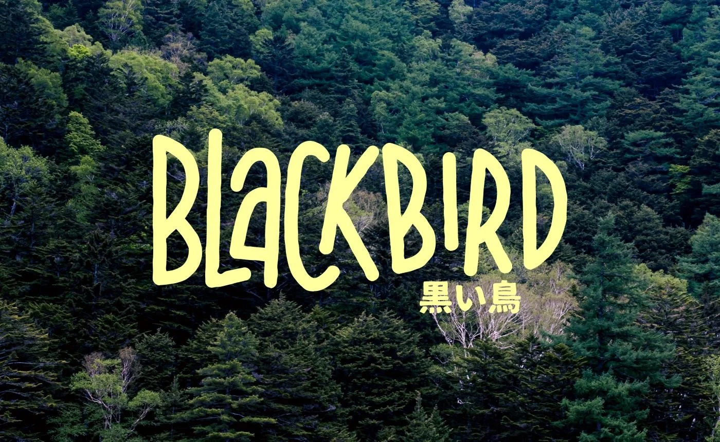 BlackBird_Logo_FOrest.jpg