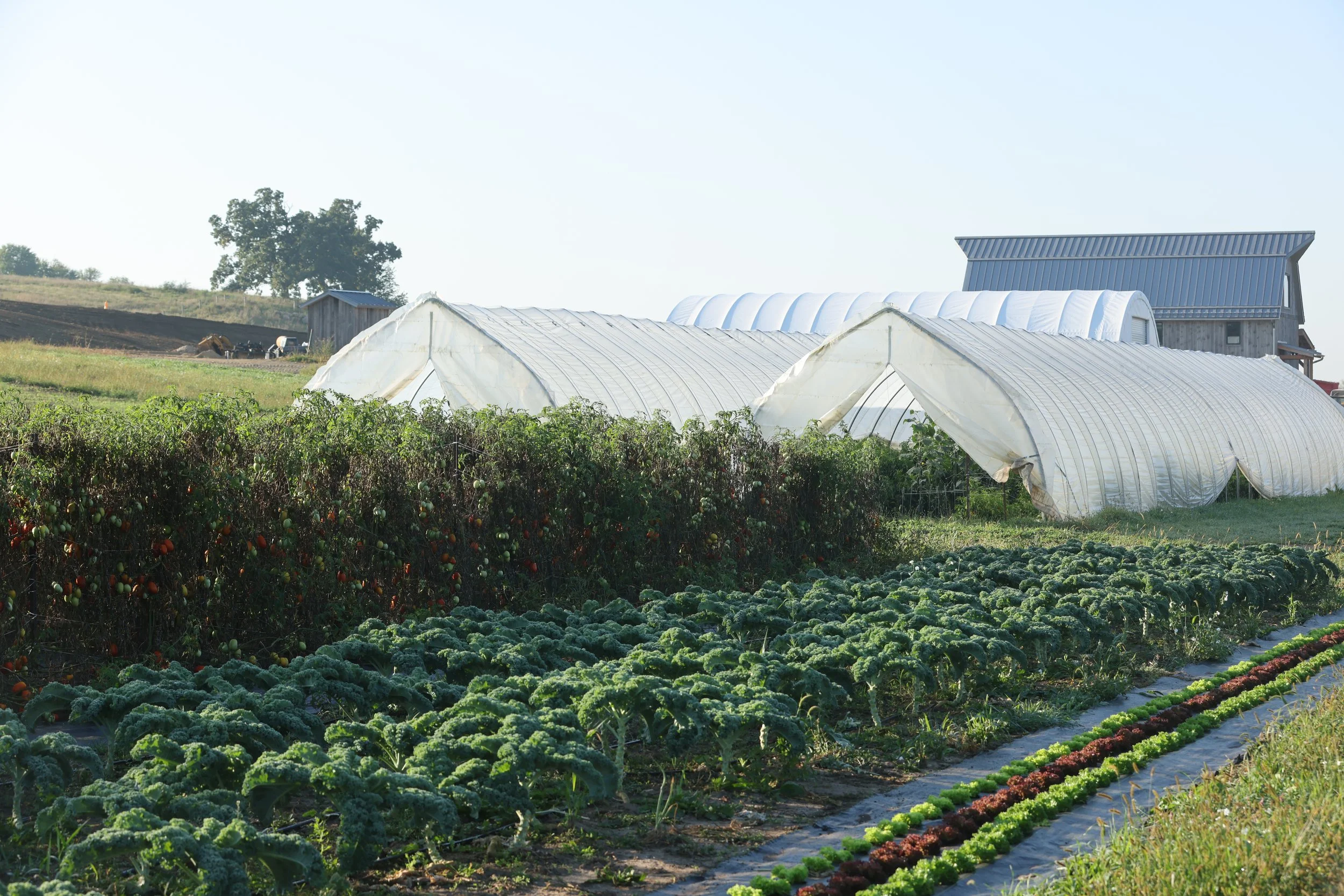 Farm Store Shareholders Appreciation Event (early sign up)