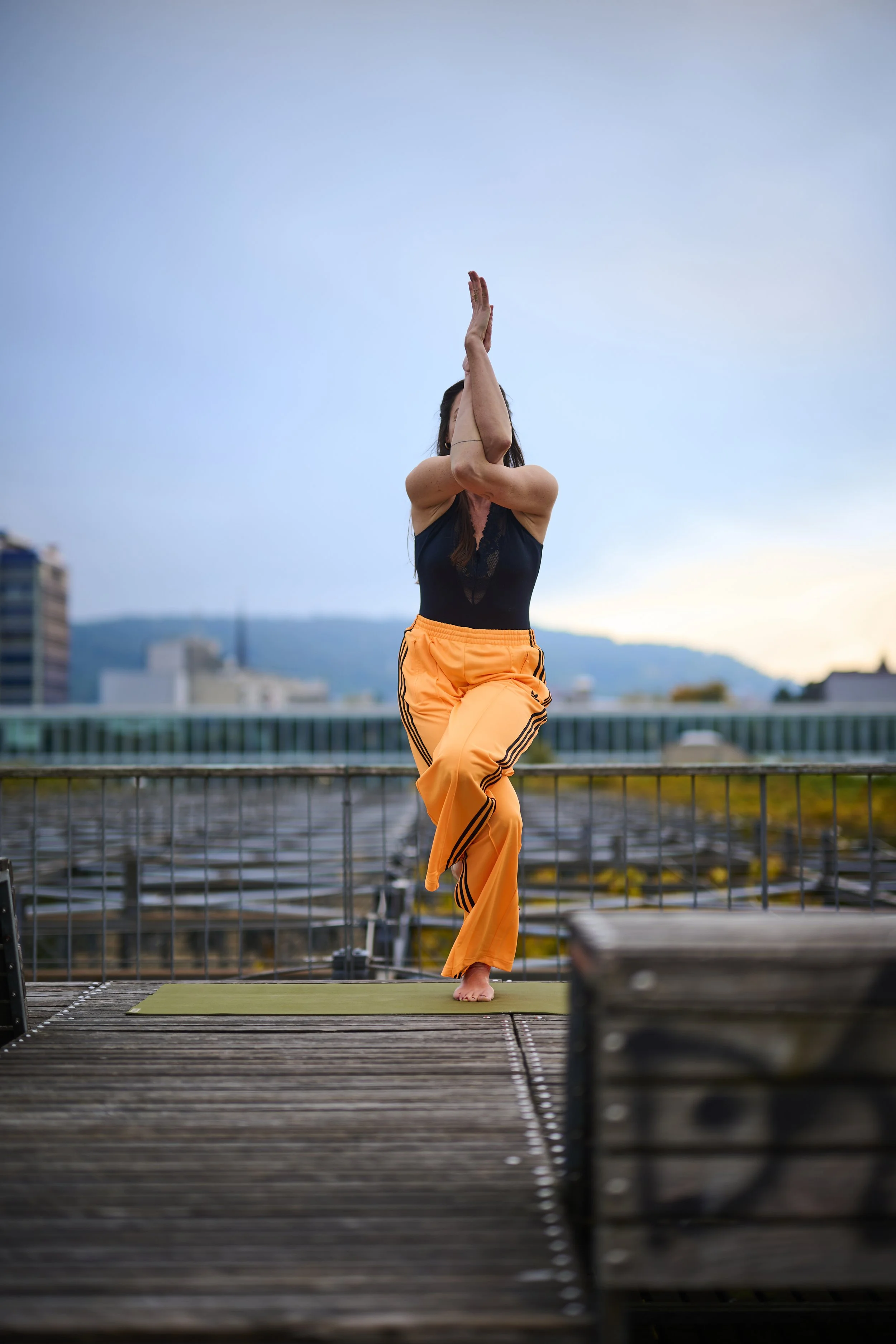 Yoga Intro Workshop Zürich