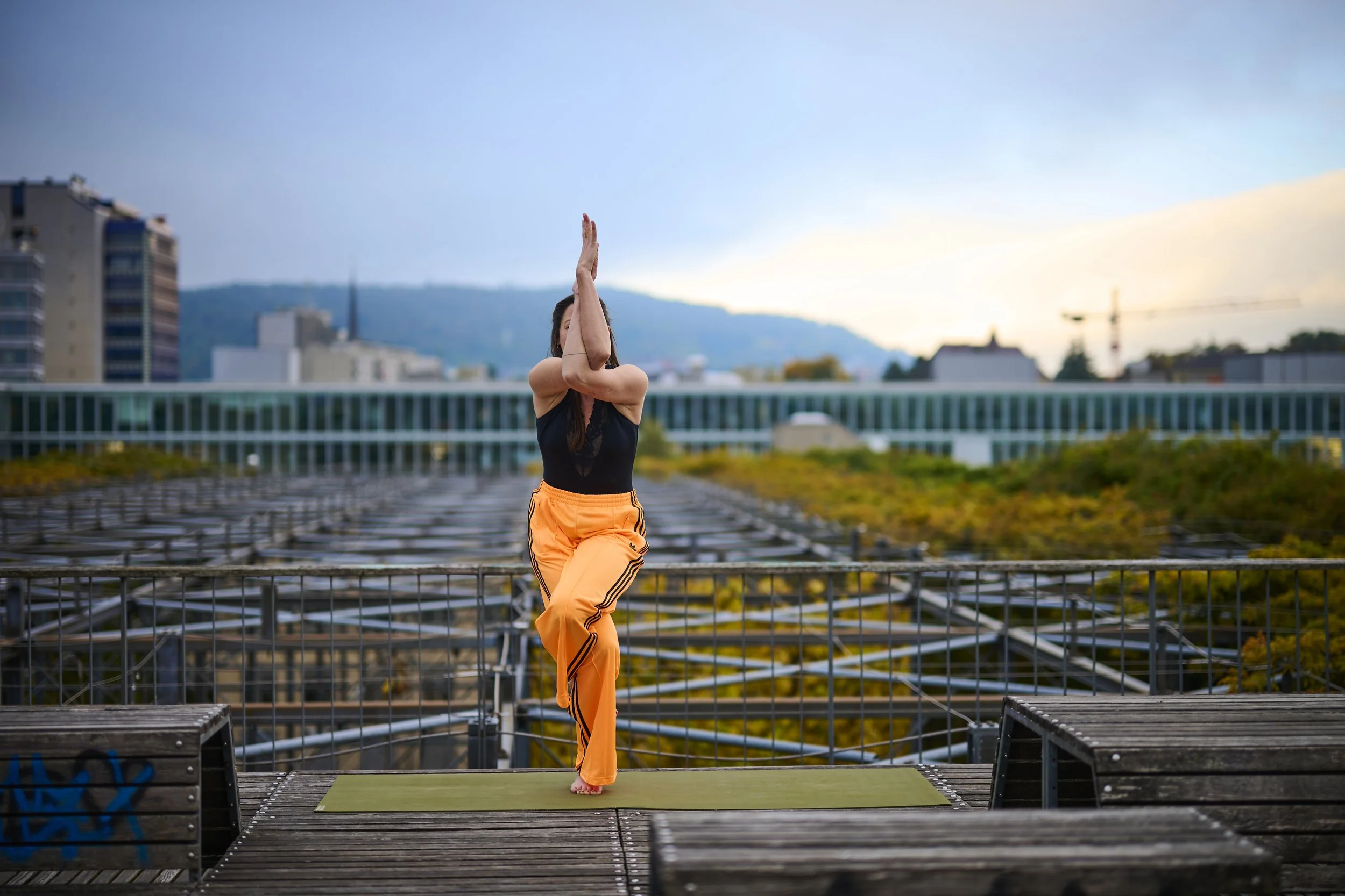 Yoga Intro Workshop - Zürich